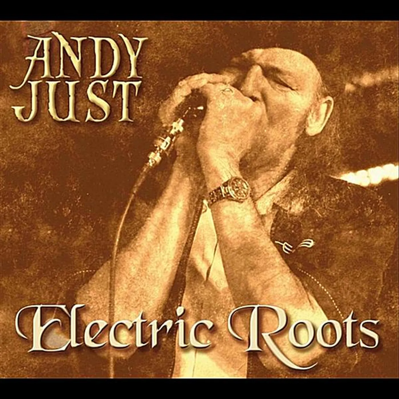 Andy Just ELECTRIC ROOTS CD