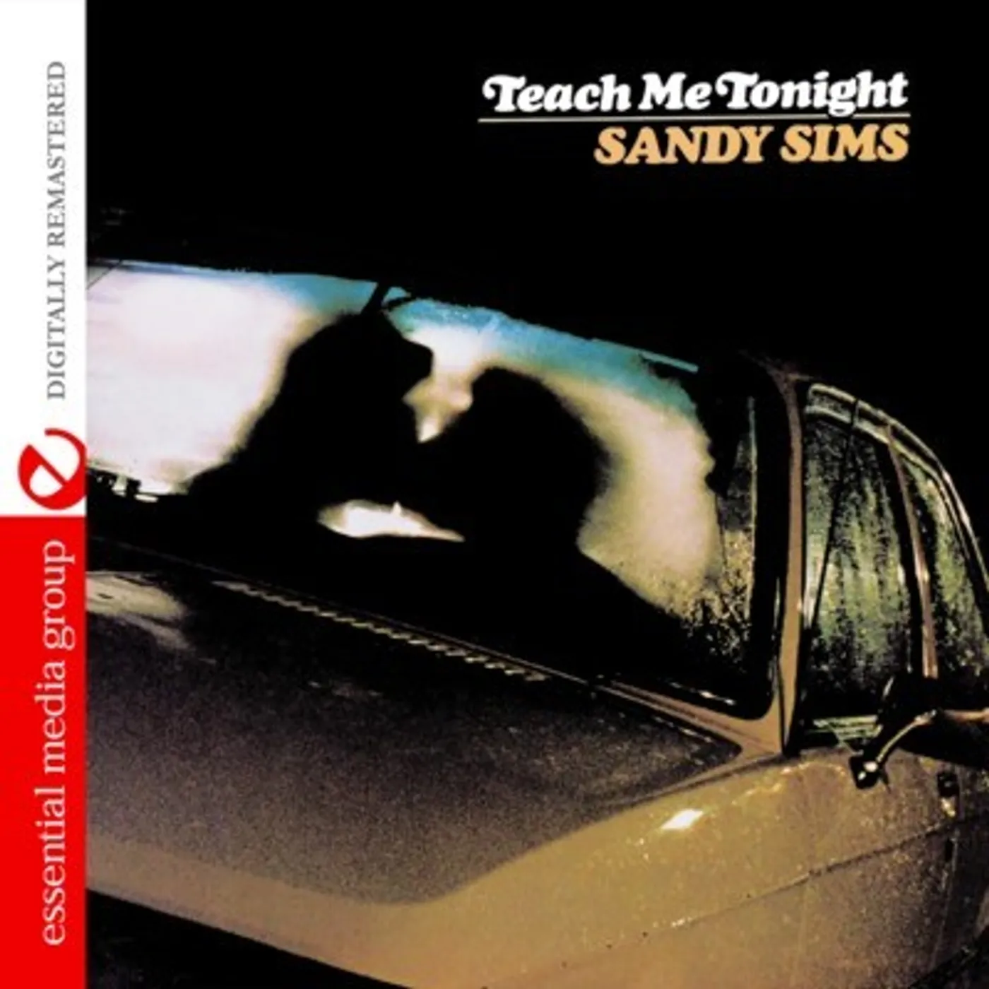Sandy Sims TEACH ME TONIGHT CD