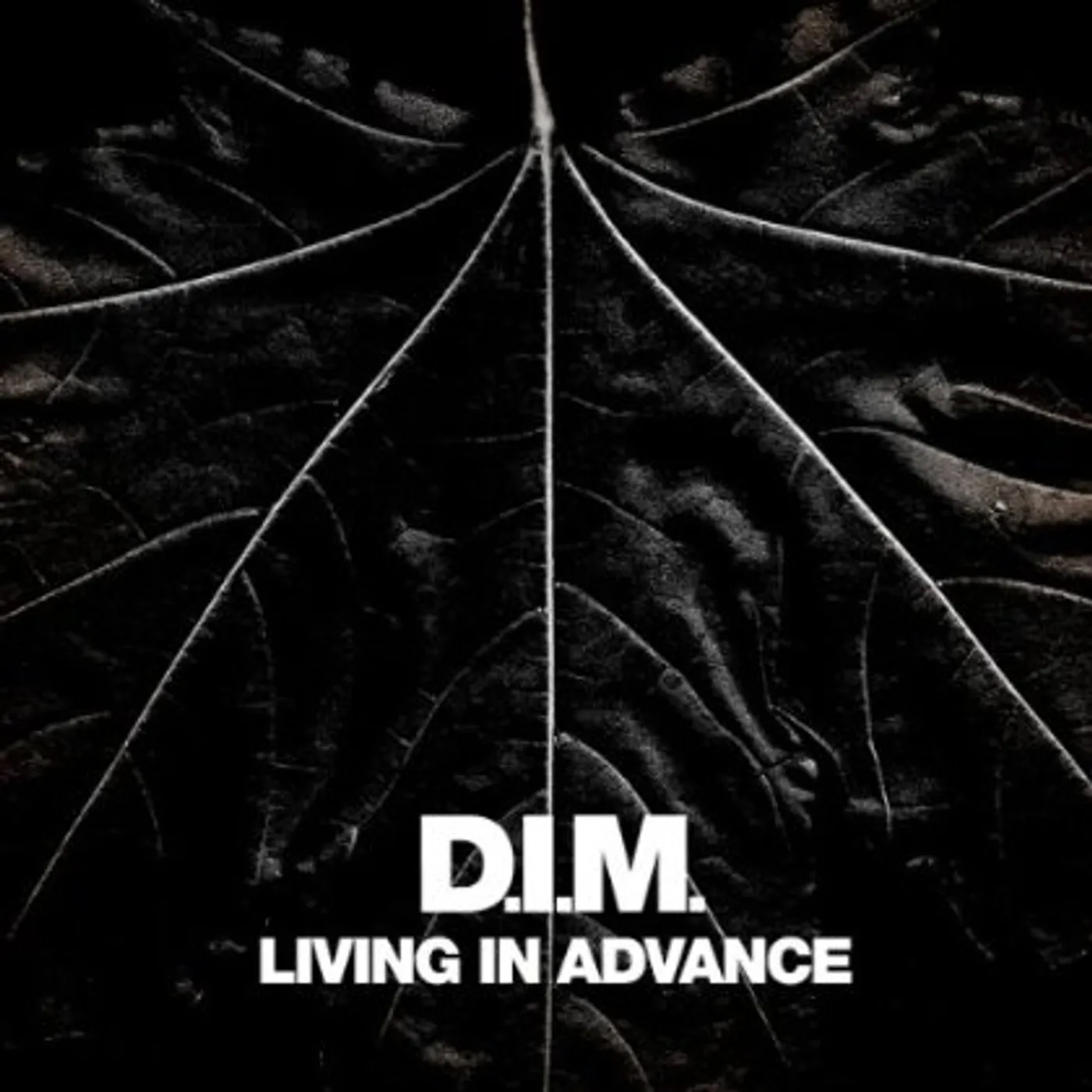DIM Living In Advance Vinyl Record