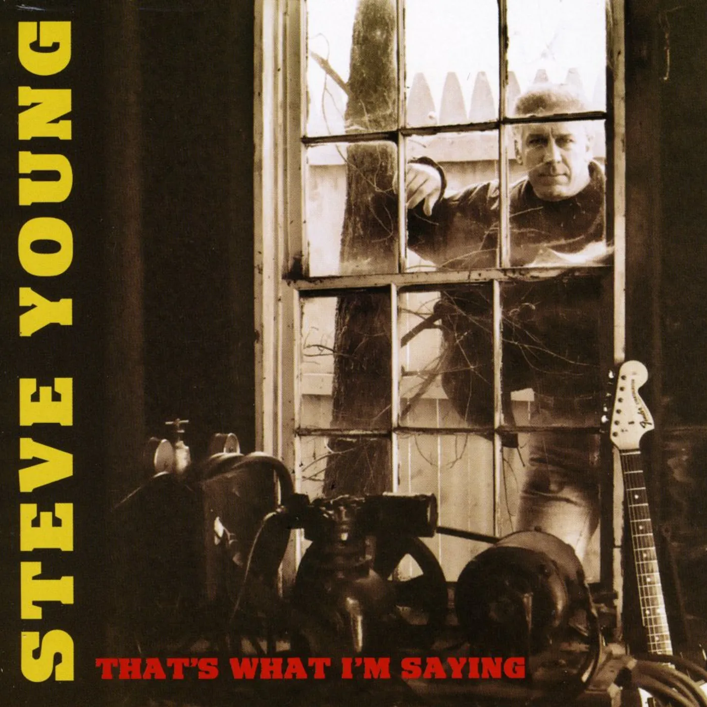 Steve Young THAT'S WHAT I'M SAYING CD