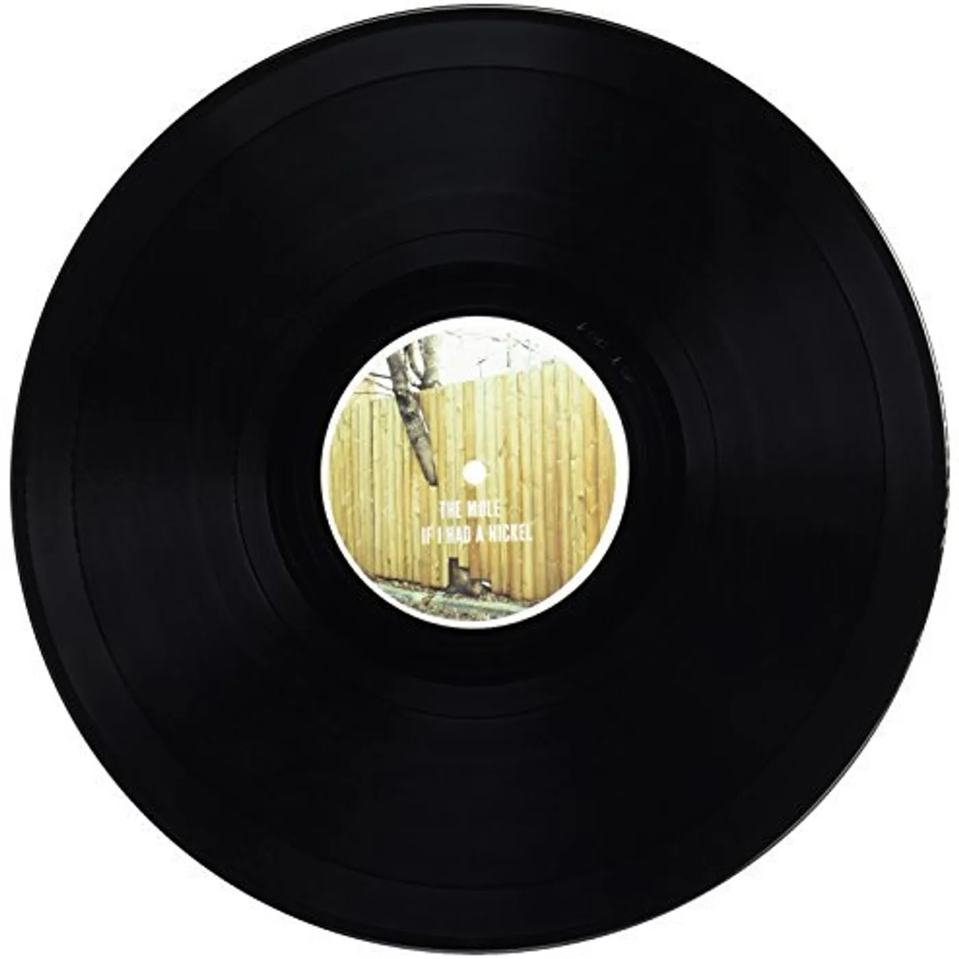 Mole IF I HAD A NICKEL Vinyl Record