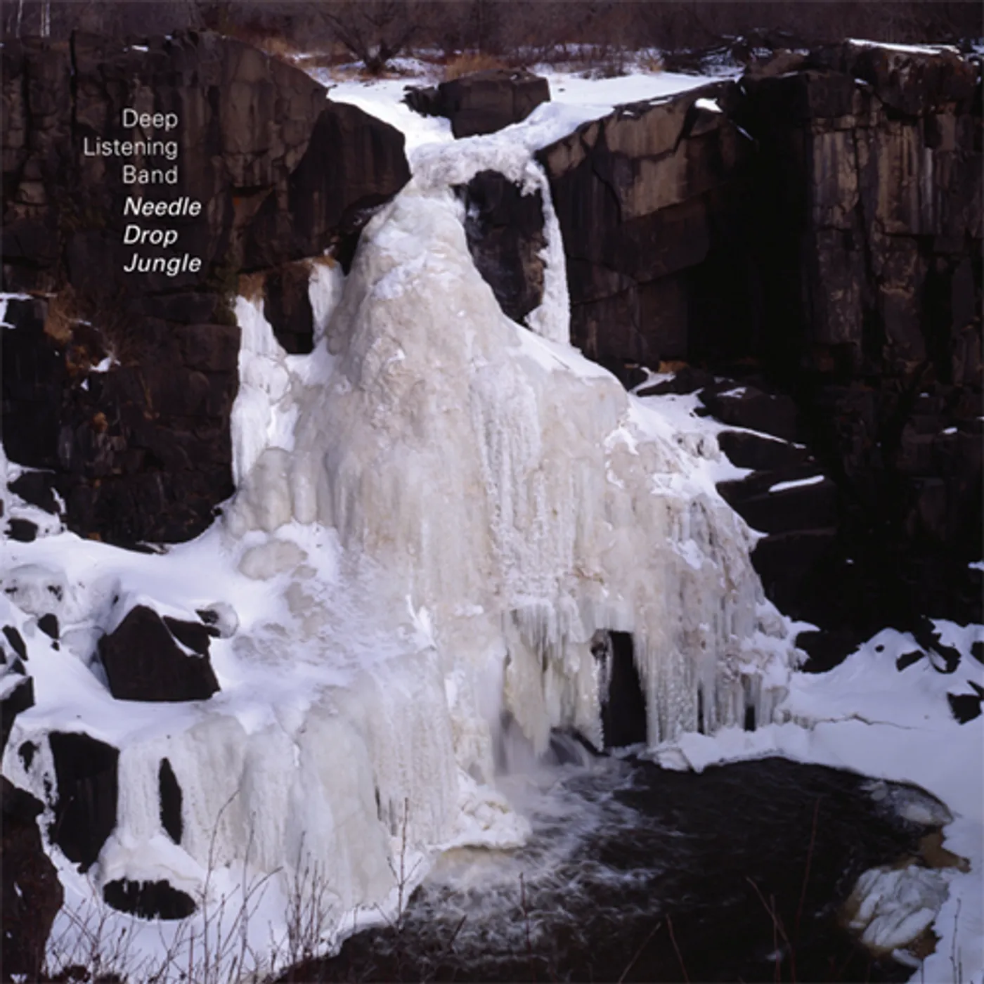 Deep Listening Band Needle Drop Jungle Vinyl Record