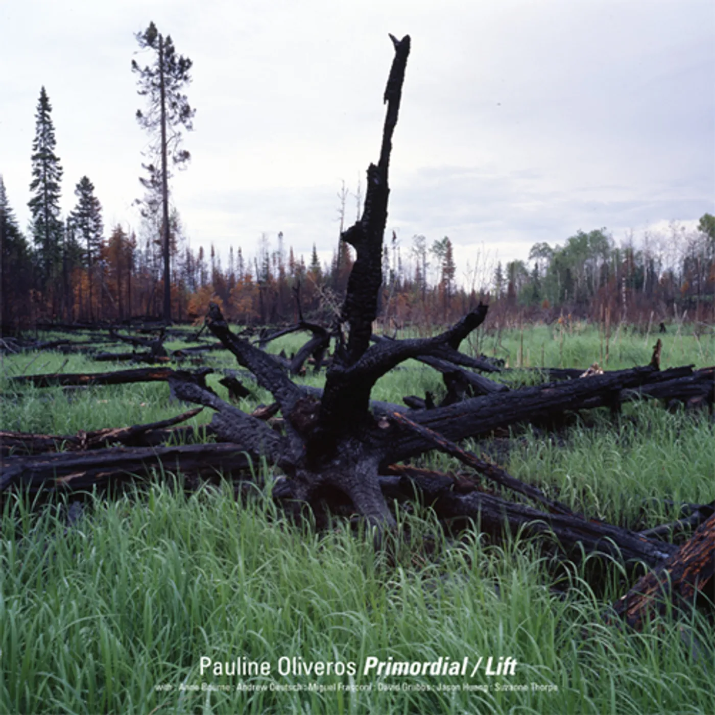 Pauline Oliveros Primordial / Lift Vinyl Record