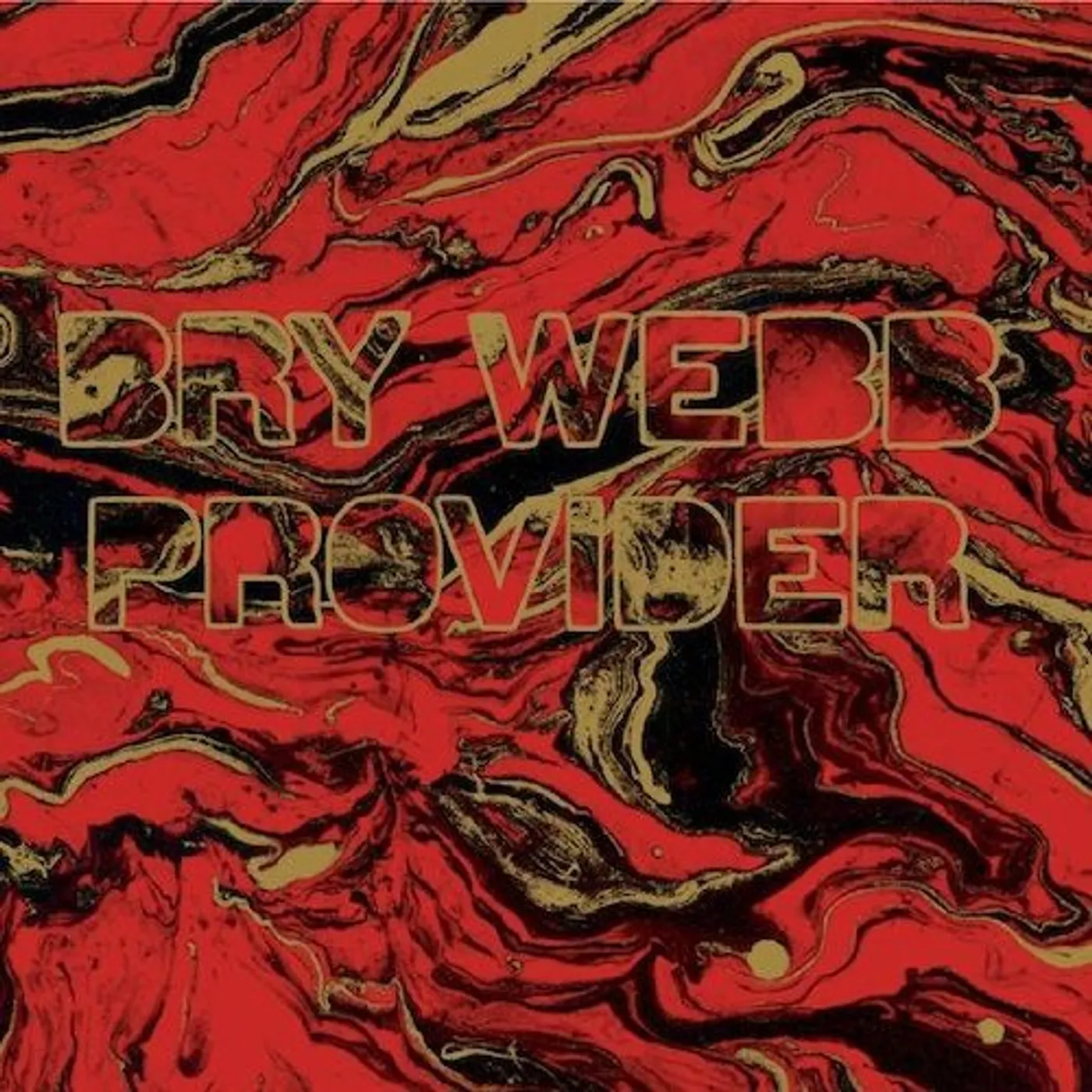 Bry Webb Provider Vinyl Record