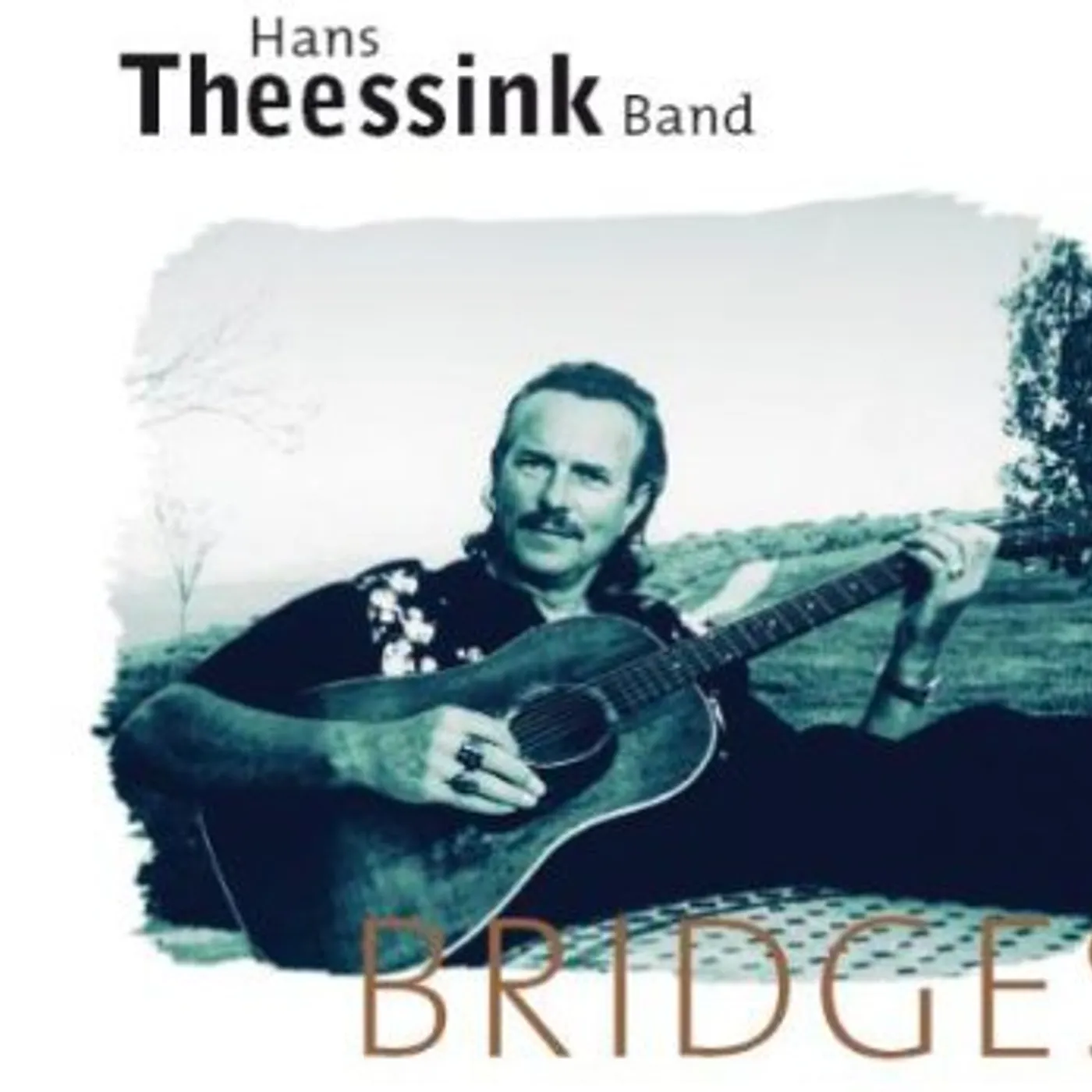 Hans Theessink Bridges Vinyl Record