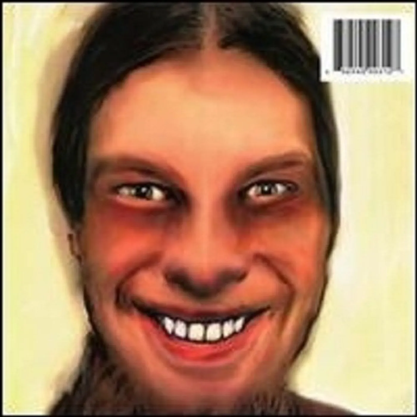 Aphex Twin I CARE BECAUSE YOU DO Vinyl Record