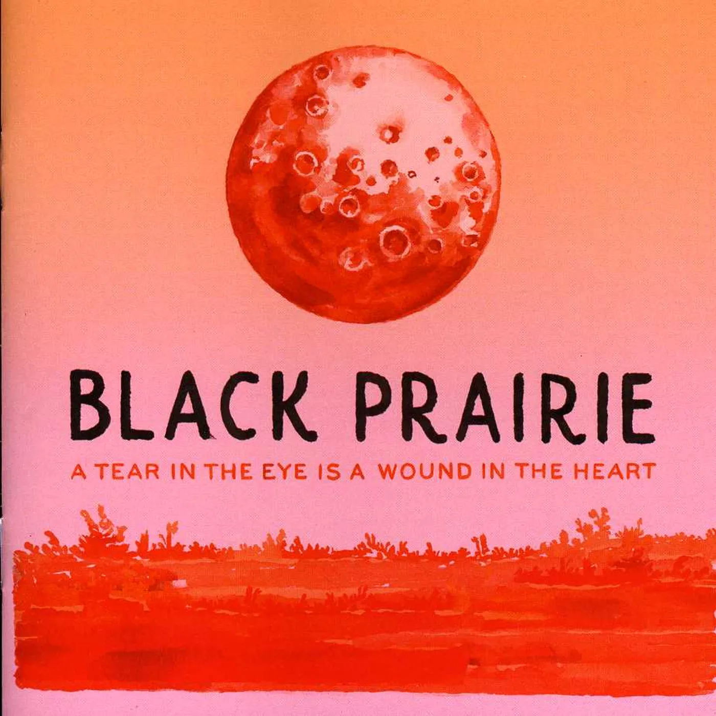 Black Prairie TEAR IN THE EYE IS A WOUND IN THE HEART CD