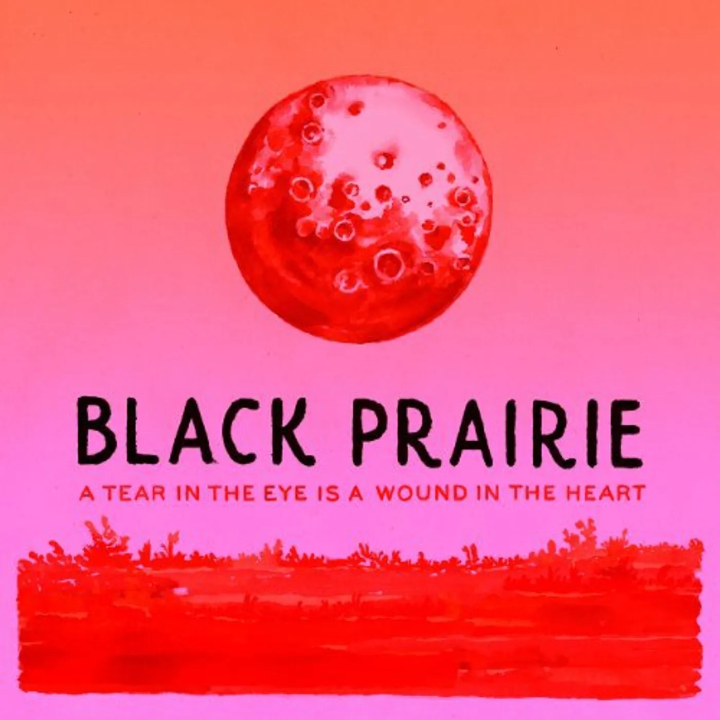 Black Prairie TEAR IN THE EYE IS A WOUND IN THE HEART Vinyl Record