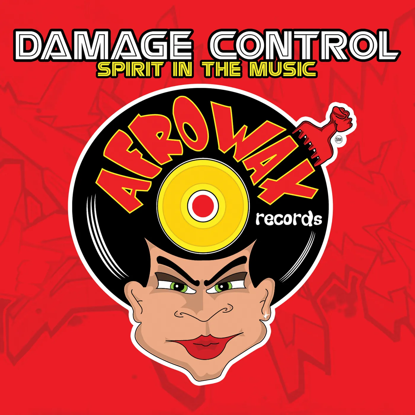 Damage Control SPIRIT IN THE MUSIC CD