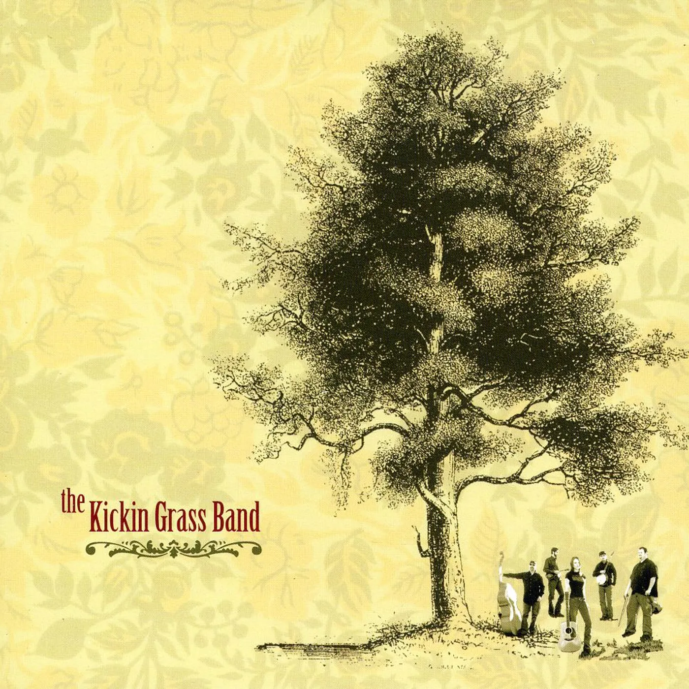 KICKIN GRASS BAND CD