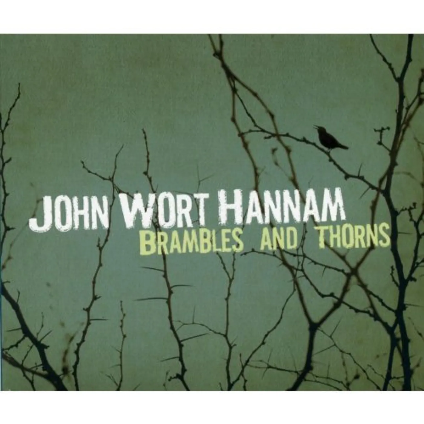 John Wort Hannam BRAMBLES & THORNS CD