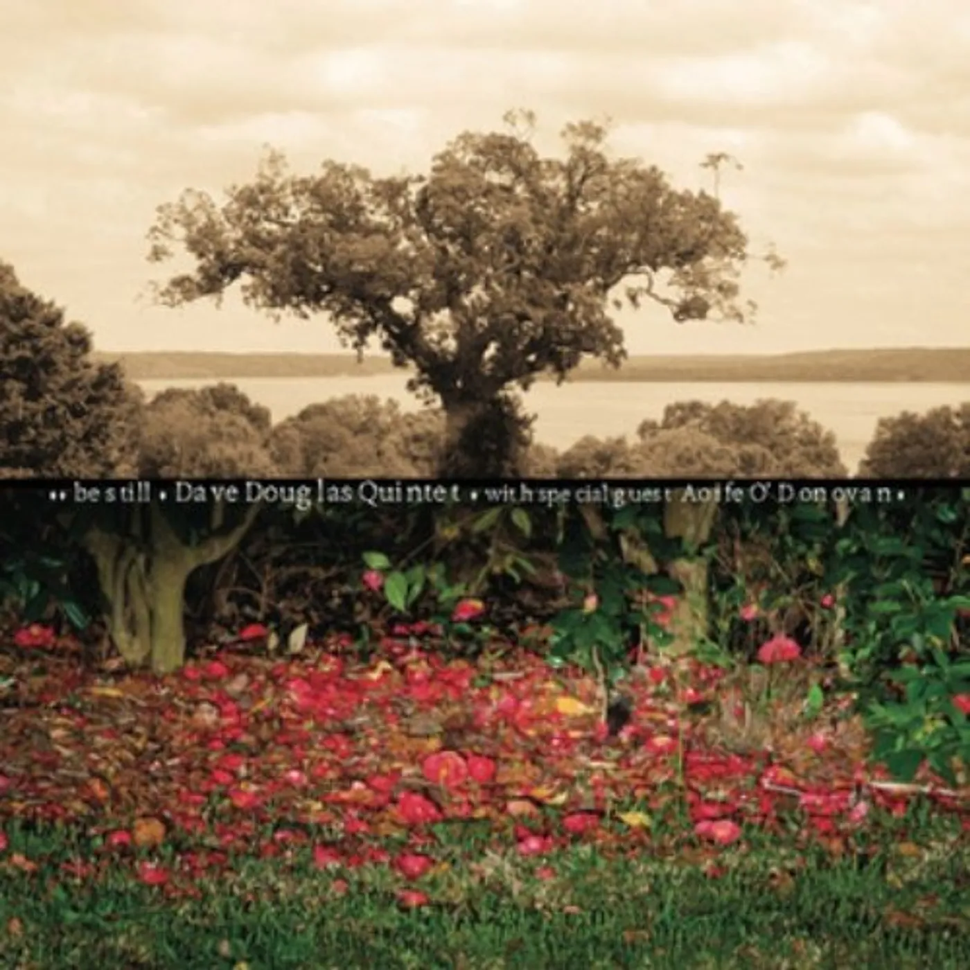 Dave Douglas BE STILL CD