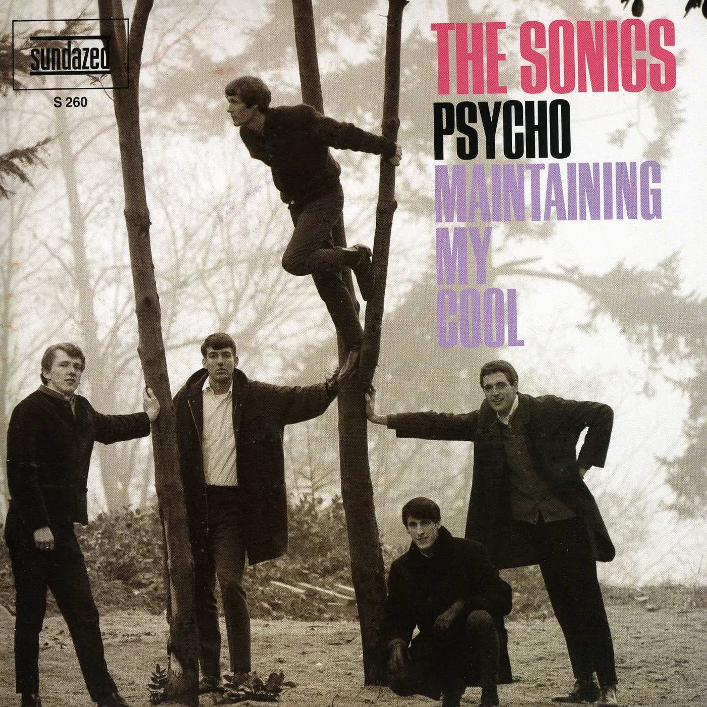 Sonics PSYCHO / MAINTAINING MY SOUL Vinyl Record