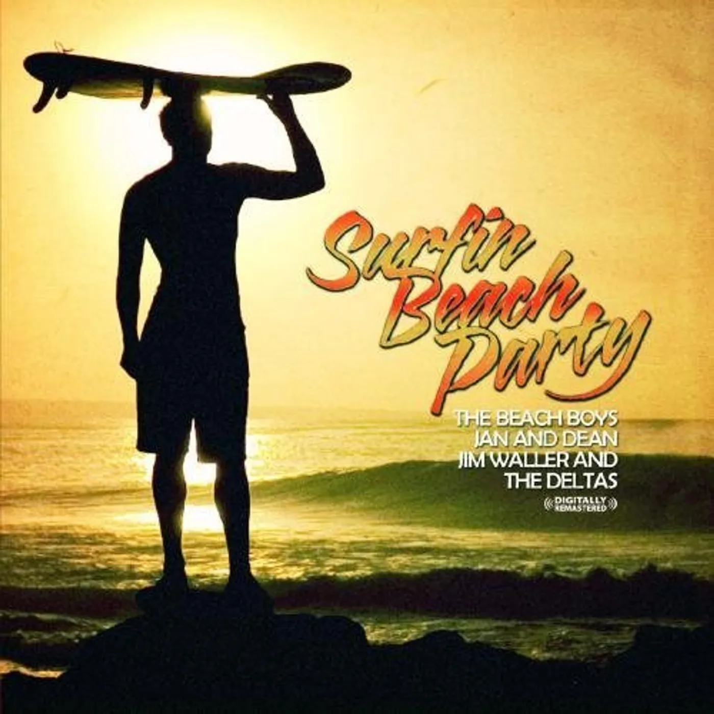 The Beach Boys SURFIN BEACH PARTY CD