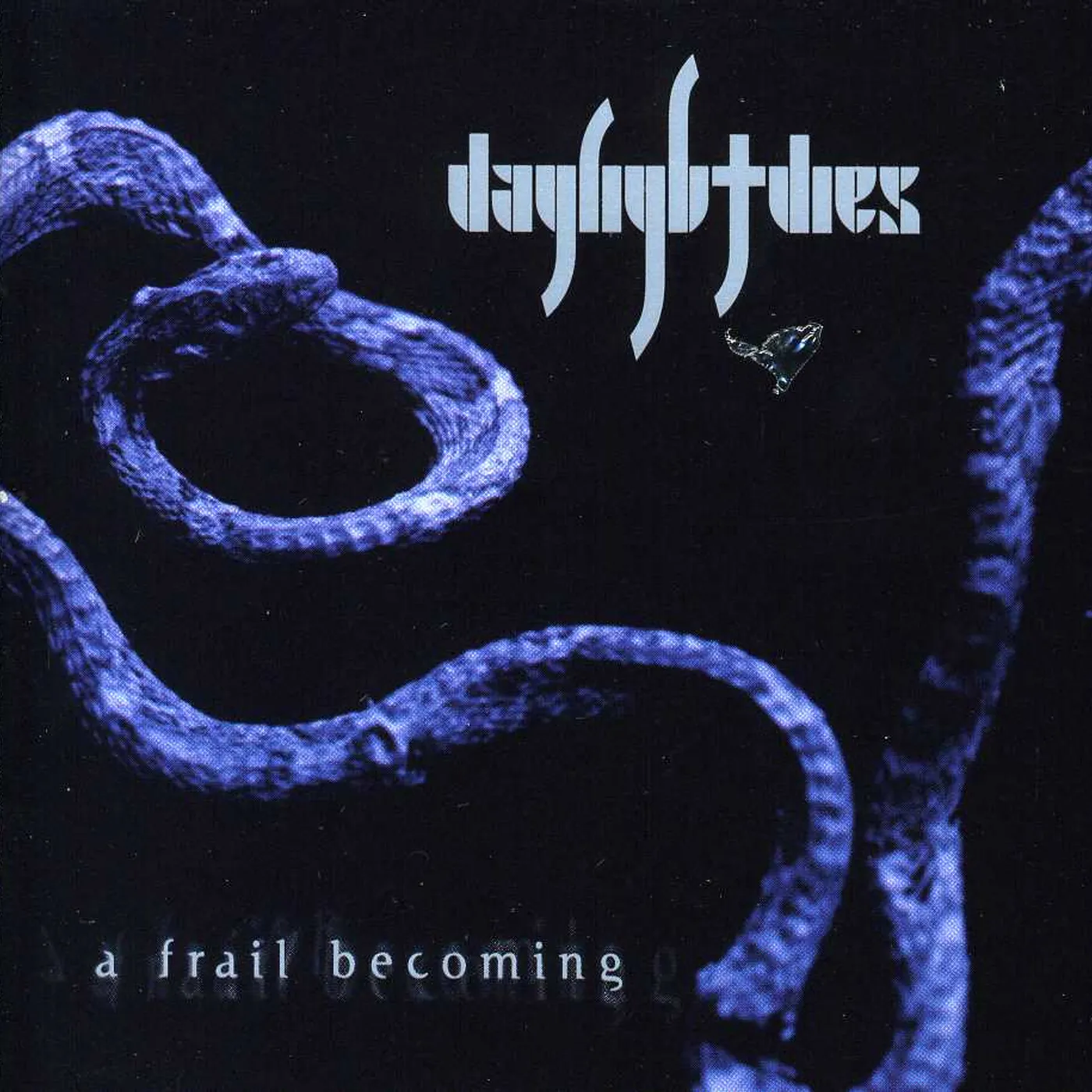 Daylight Dies FRAIL BECOMING CD