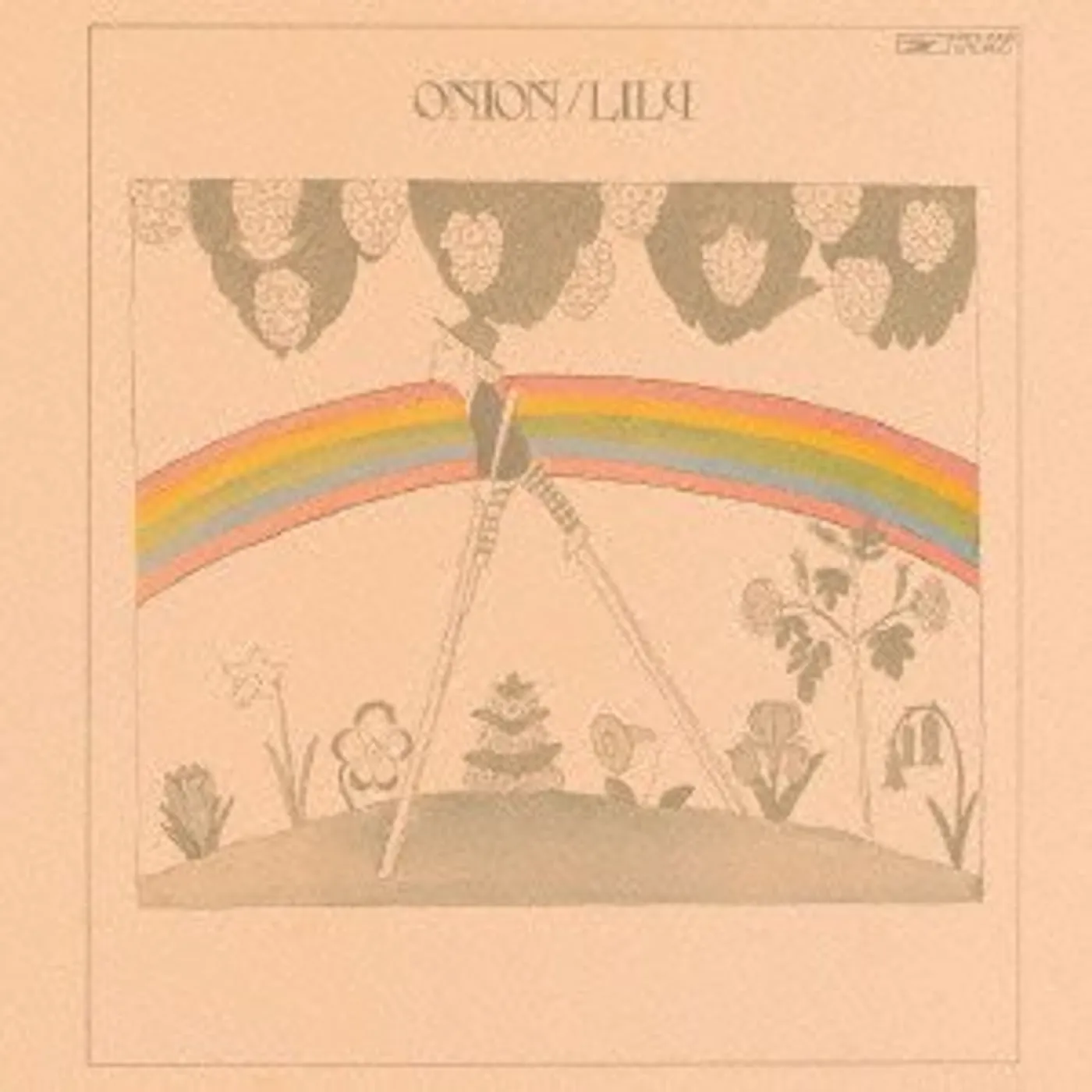 Lily AN ONION CD