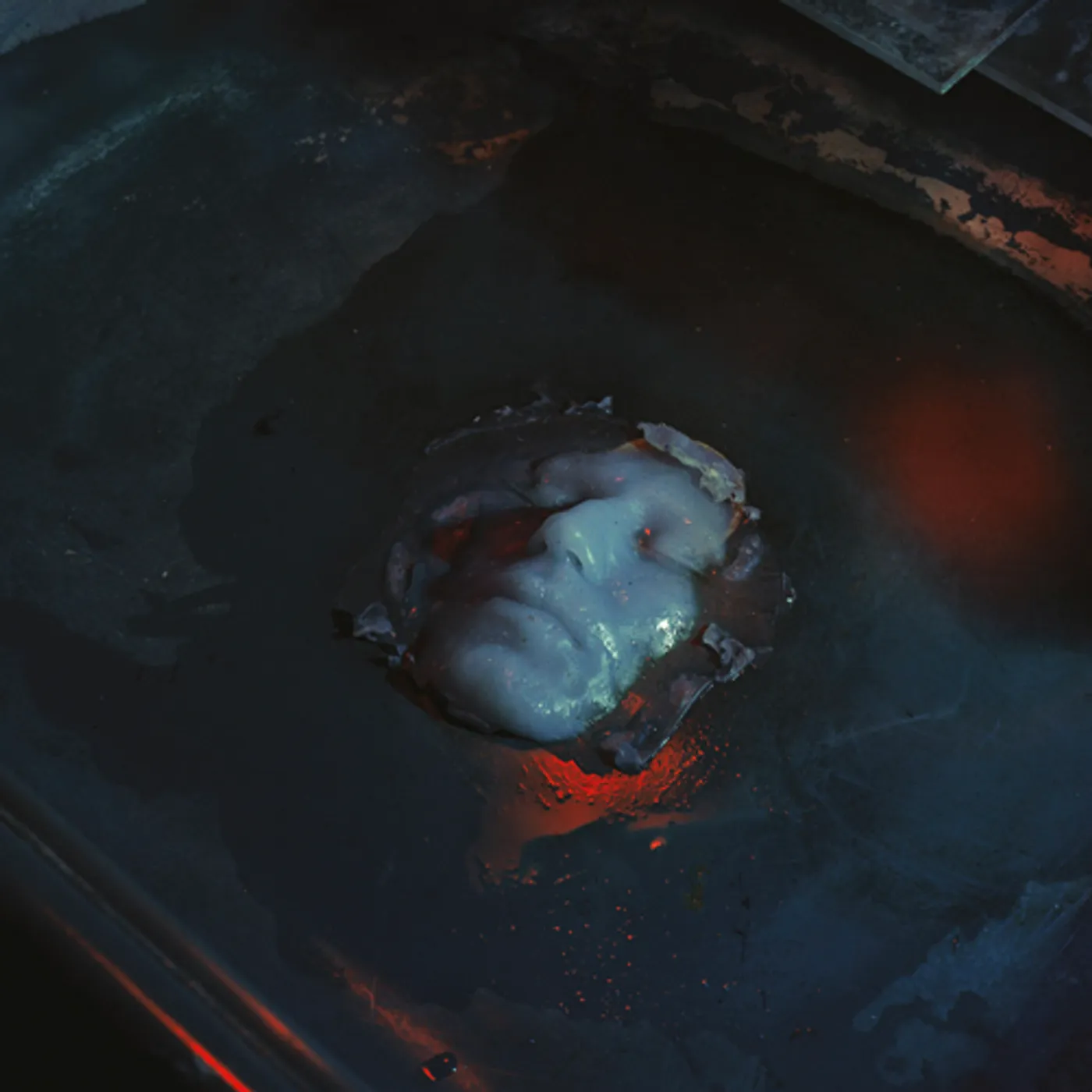 Paul Corley DISQUIET CD