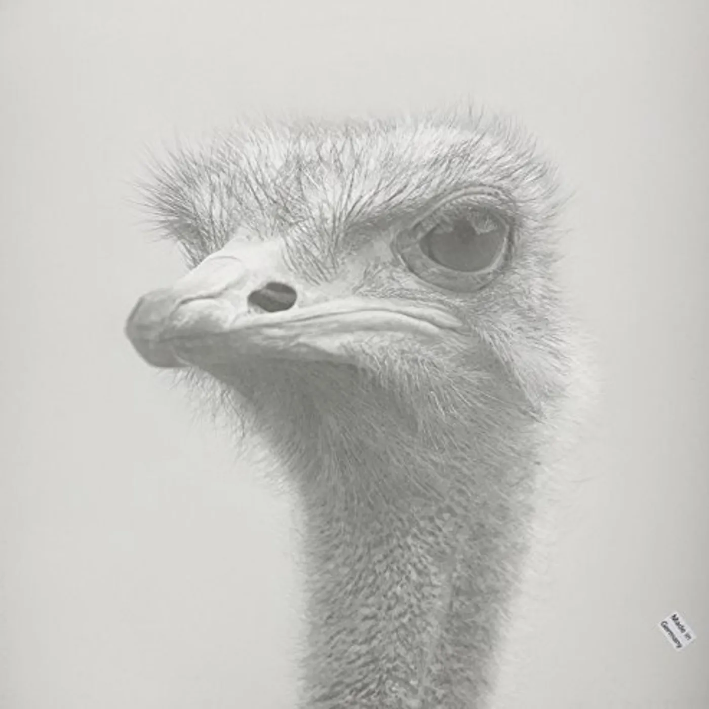 Dole & Kom DARZE Vinyl Record