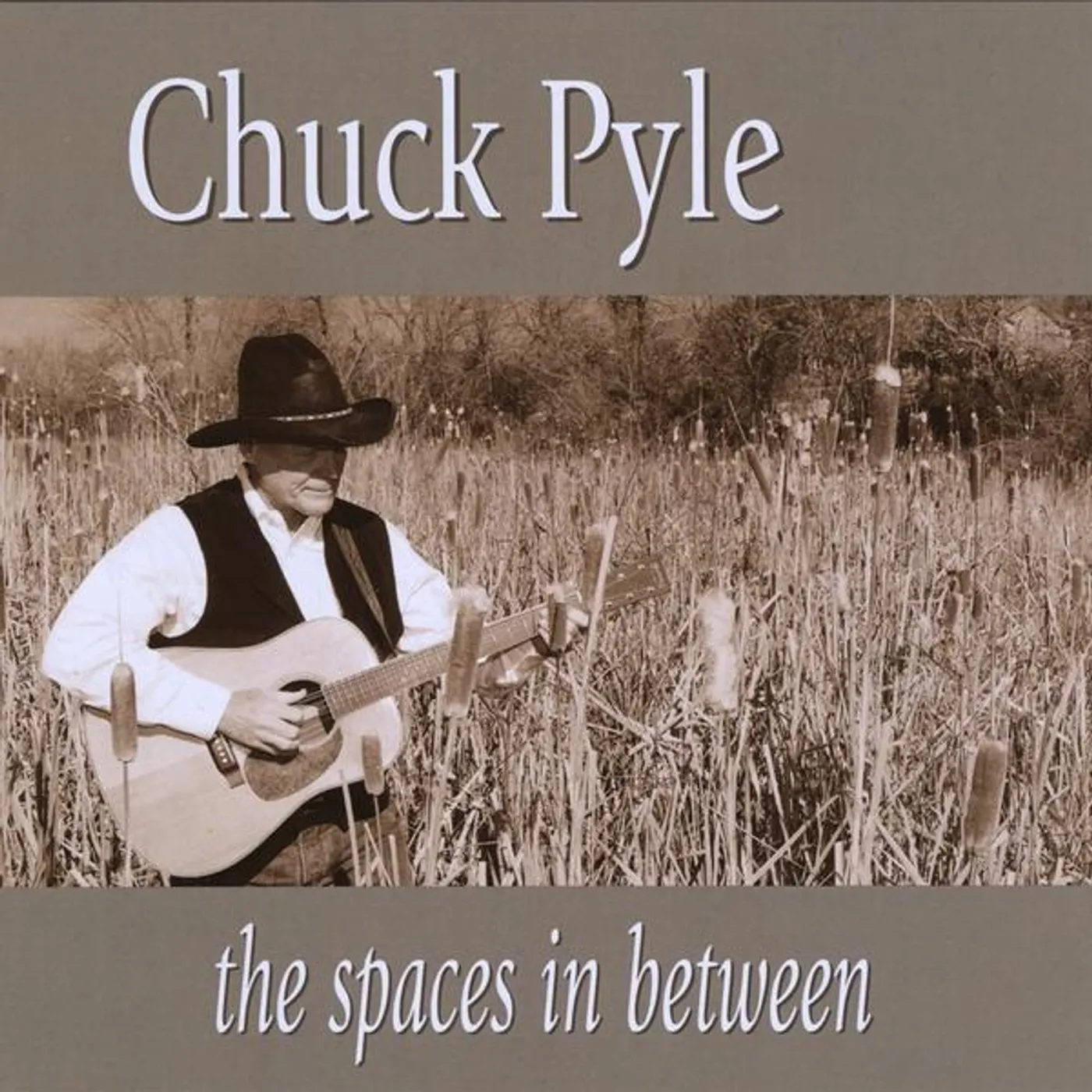 Chuck Pyle SPACES IN BETWEEN CD