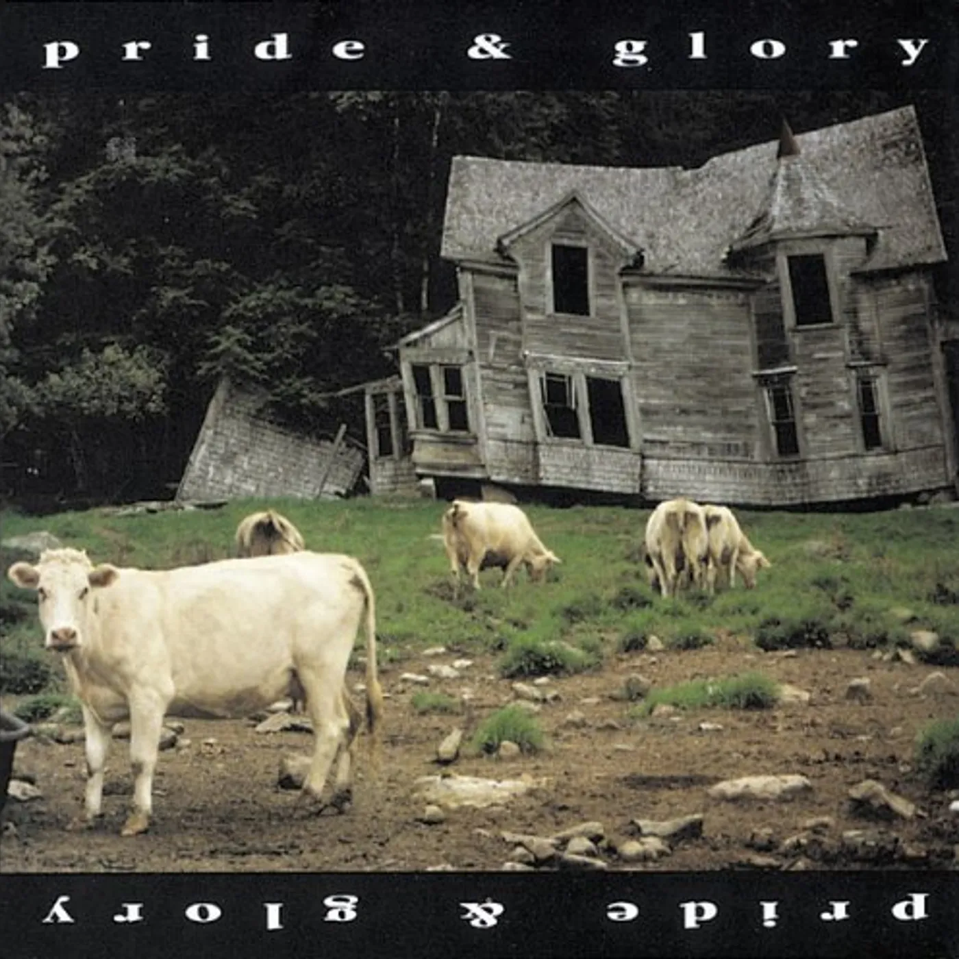 Pride & Glory Vinyl Record