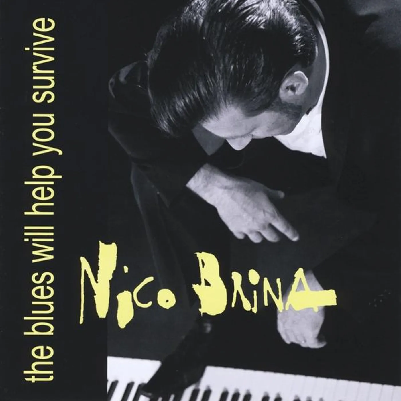 Nico Brina BLUES WILL HELP YOU SURVIVE CD