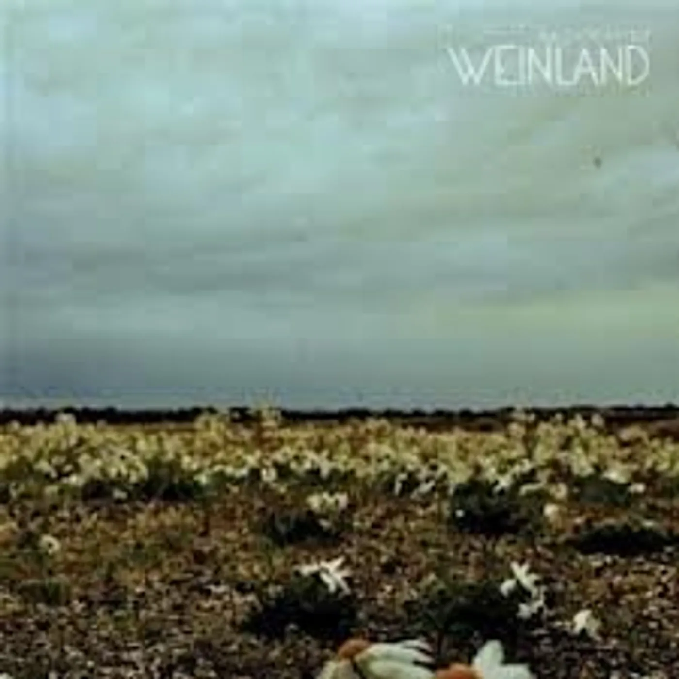 Weinland PROCESSAUR Vinyl Record