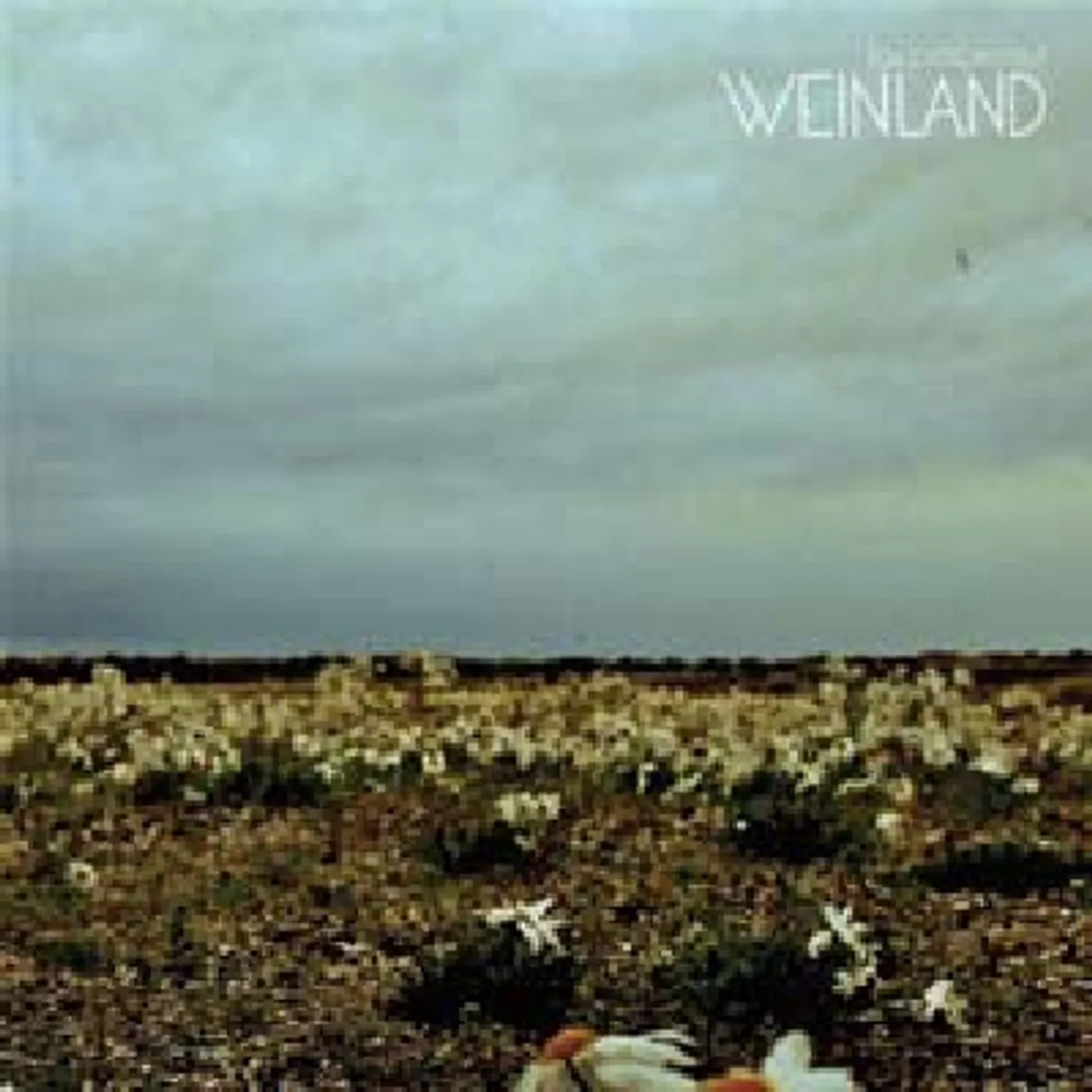 Weinland PROCESSAUR CD