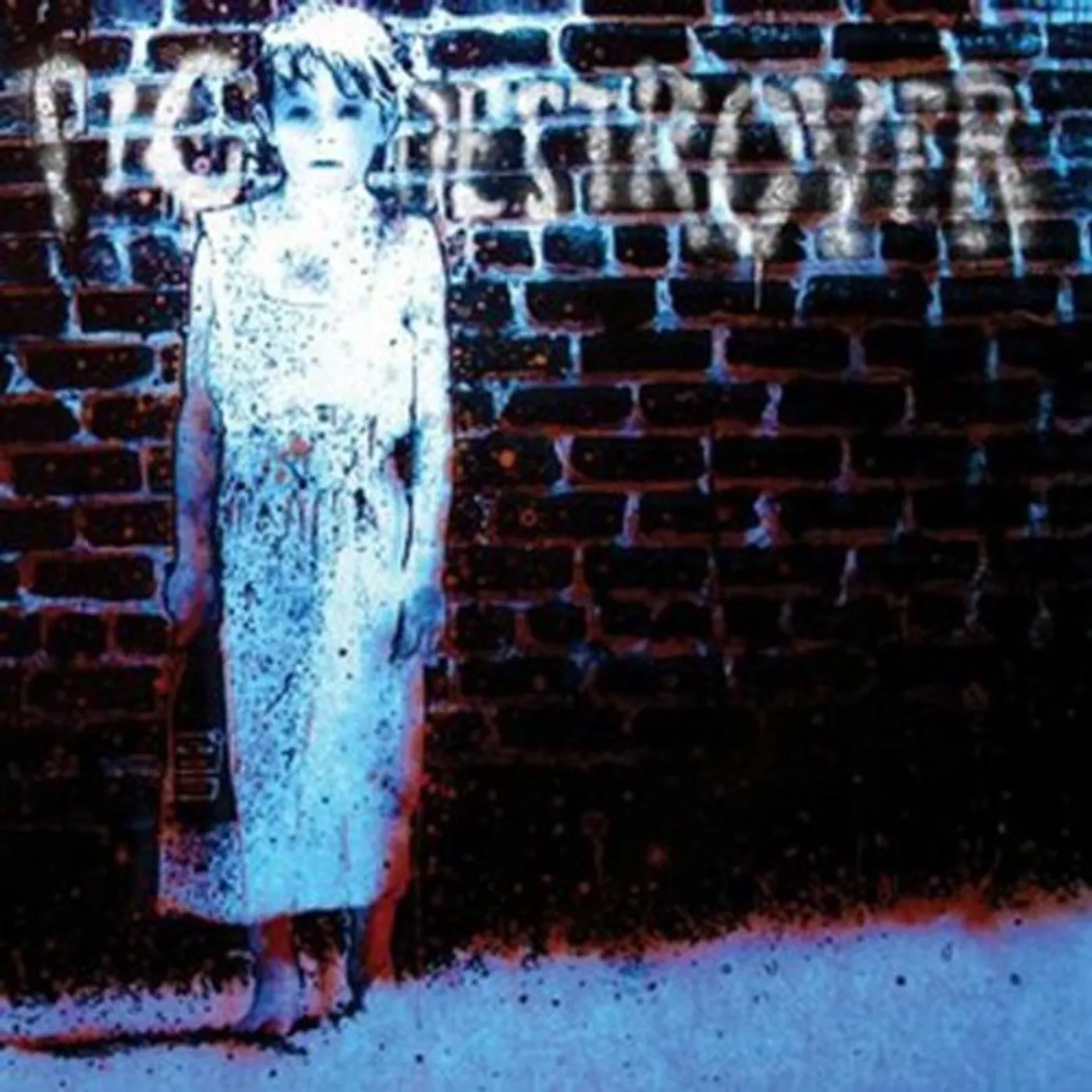 Pig Destroyer BOOK BURNER CD