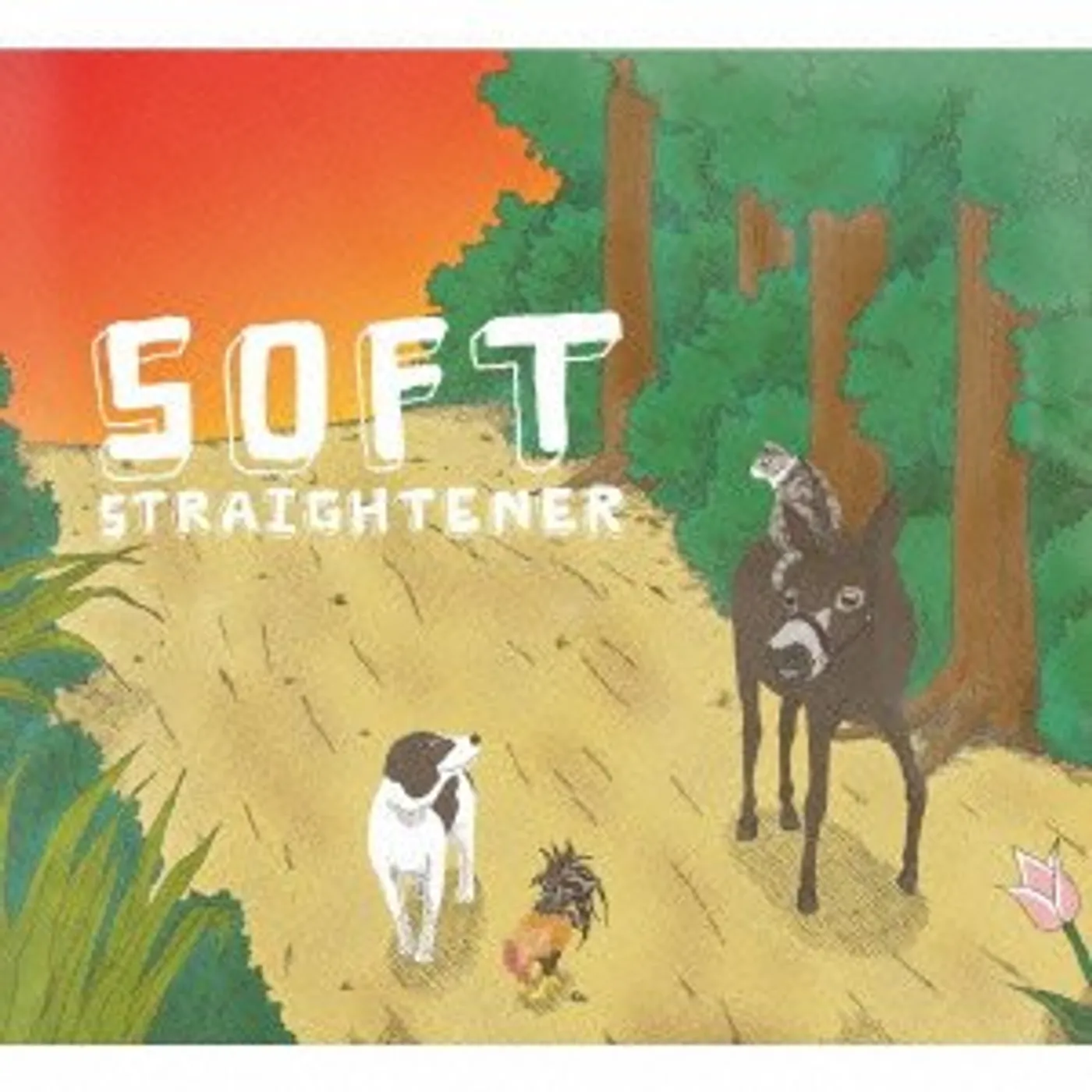 Straightener SOFT CD