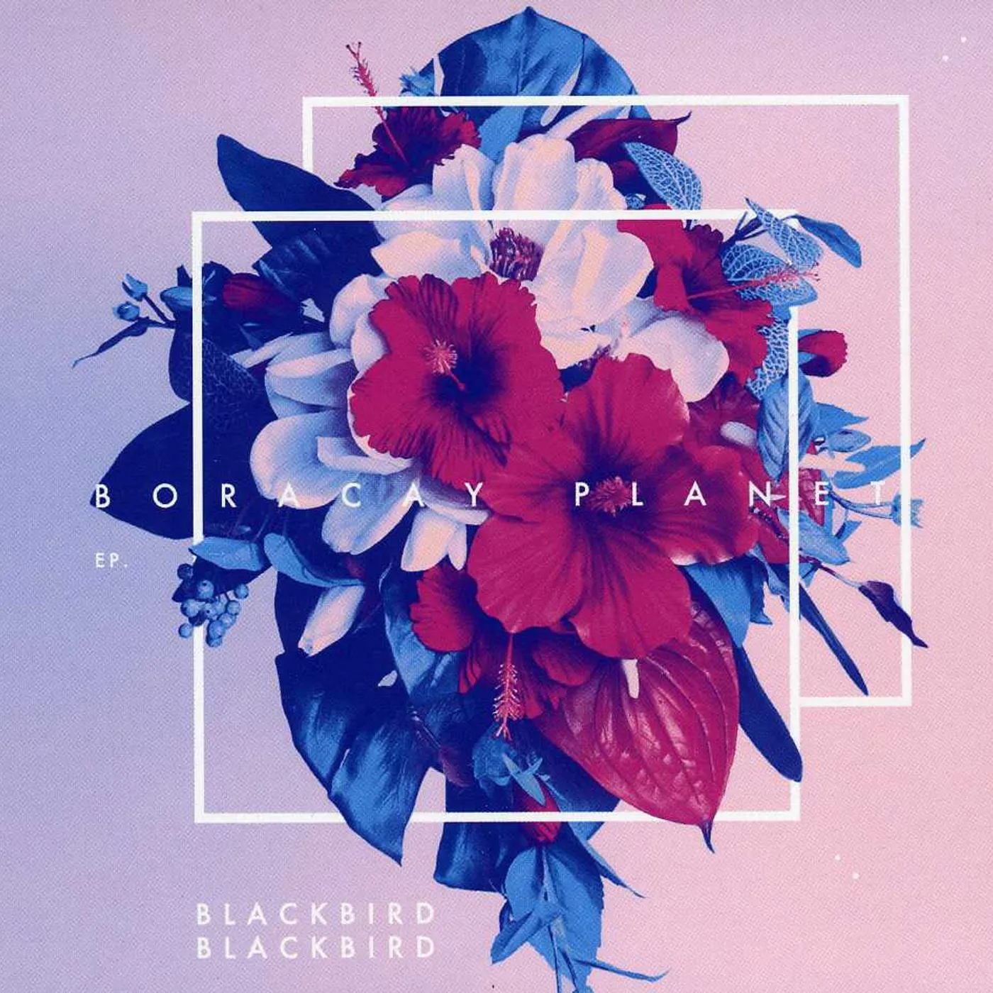 Blackbird Blackbird BORACAY PLANET CD