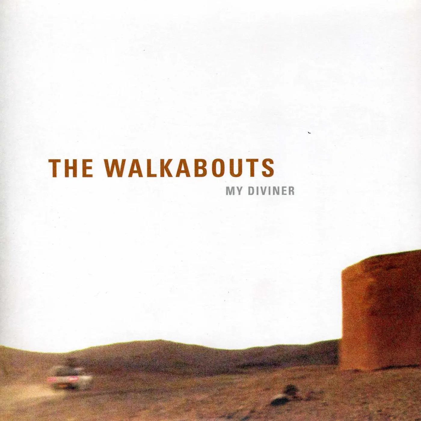 The Walkabouts MY DIVINER / NEU DEATH VALLEY Vinyl Record
