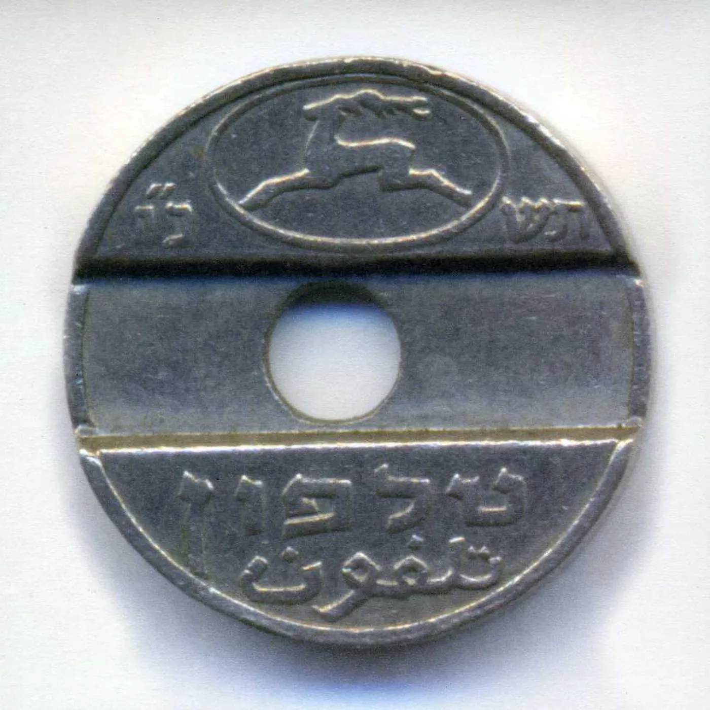 The Damn Truth DEAR IN HEADLIGHTS CD