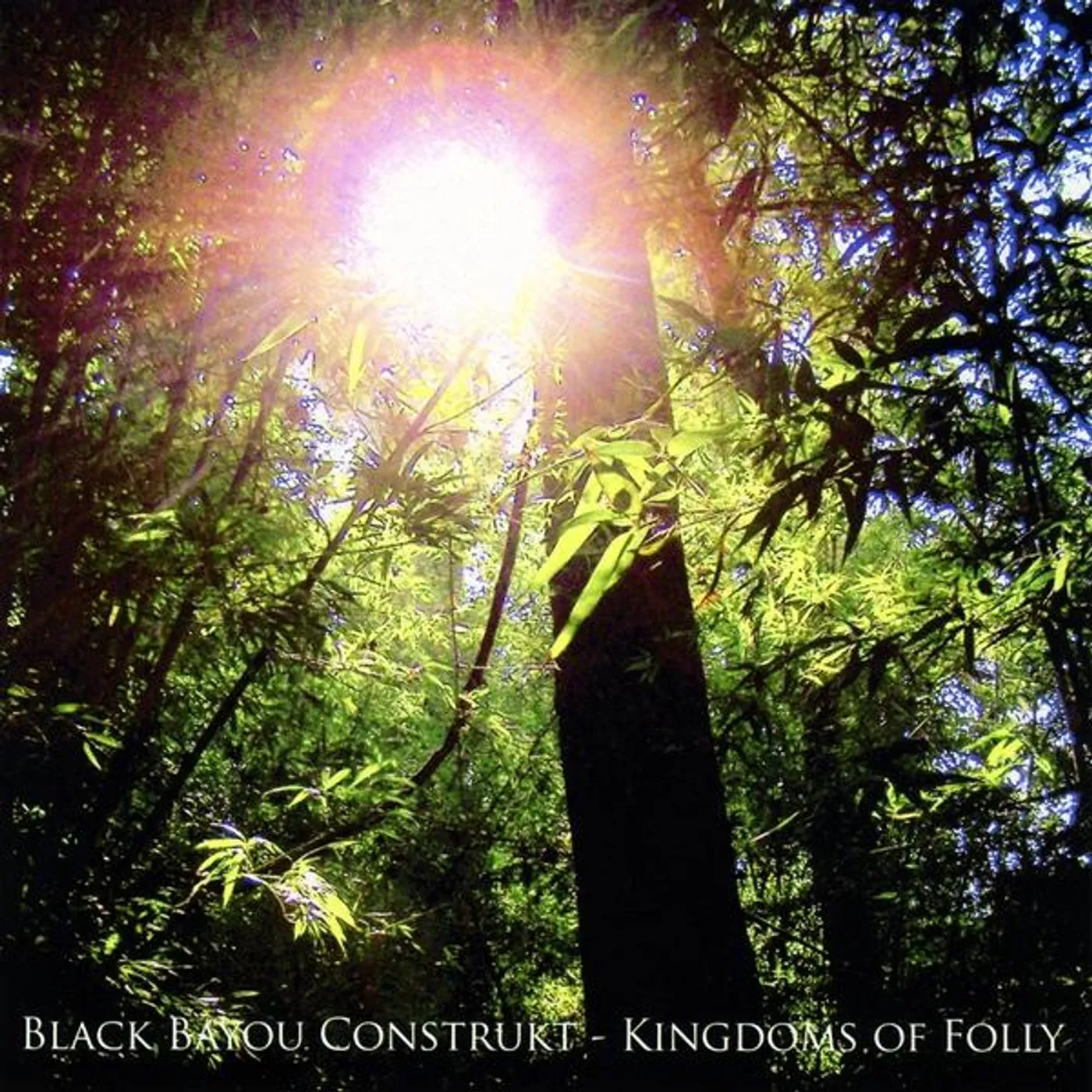 Black Bayou Construkt KINGDOMS OF FOLLY CD