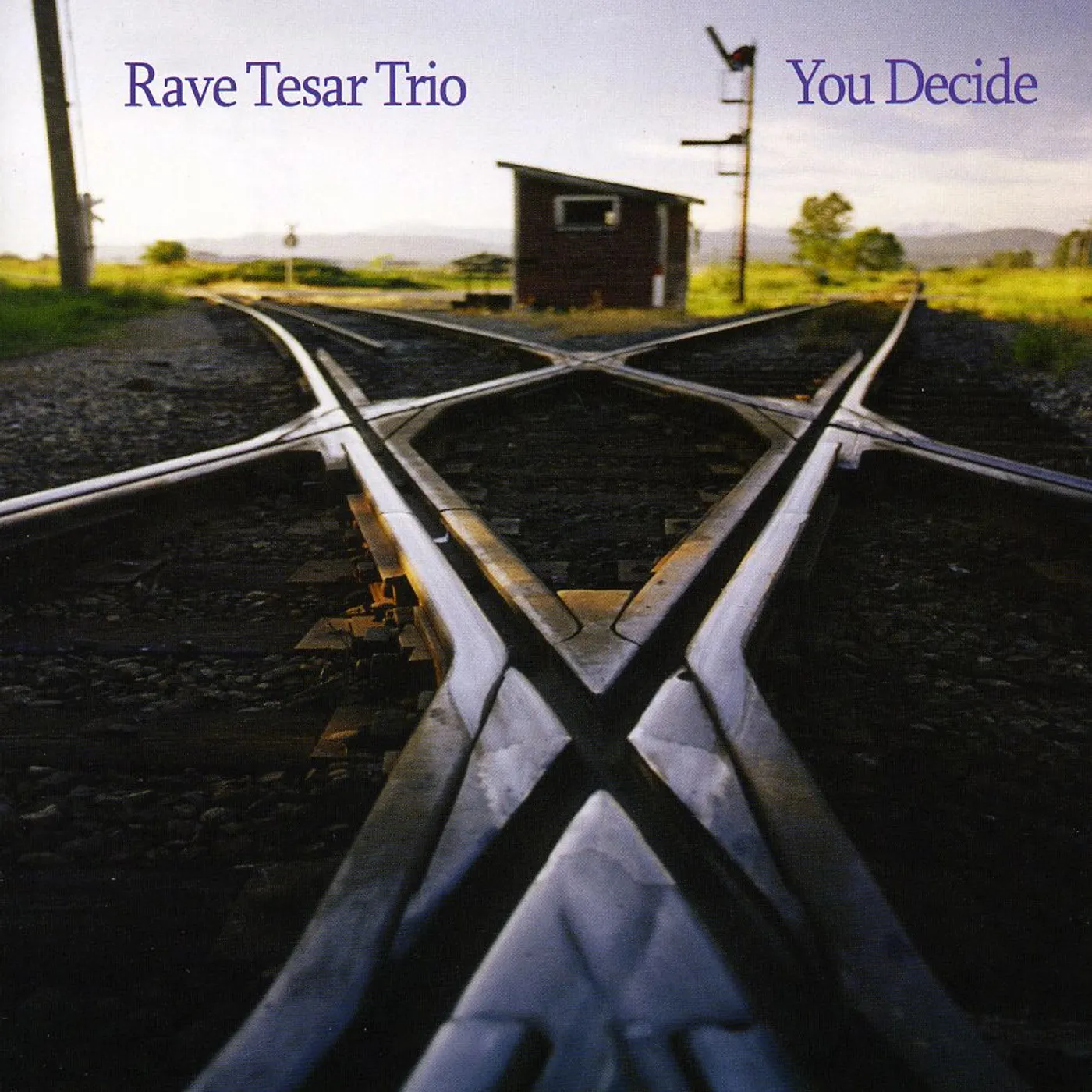 Rave Tesar YOU DECIDE CD