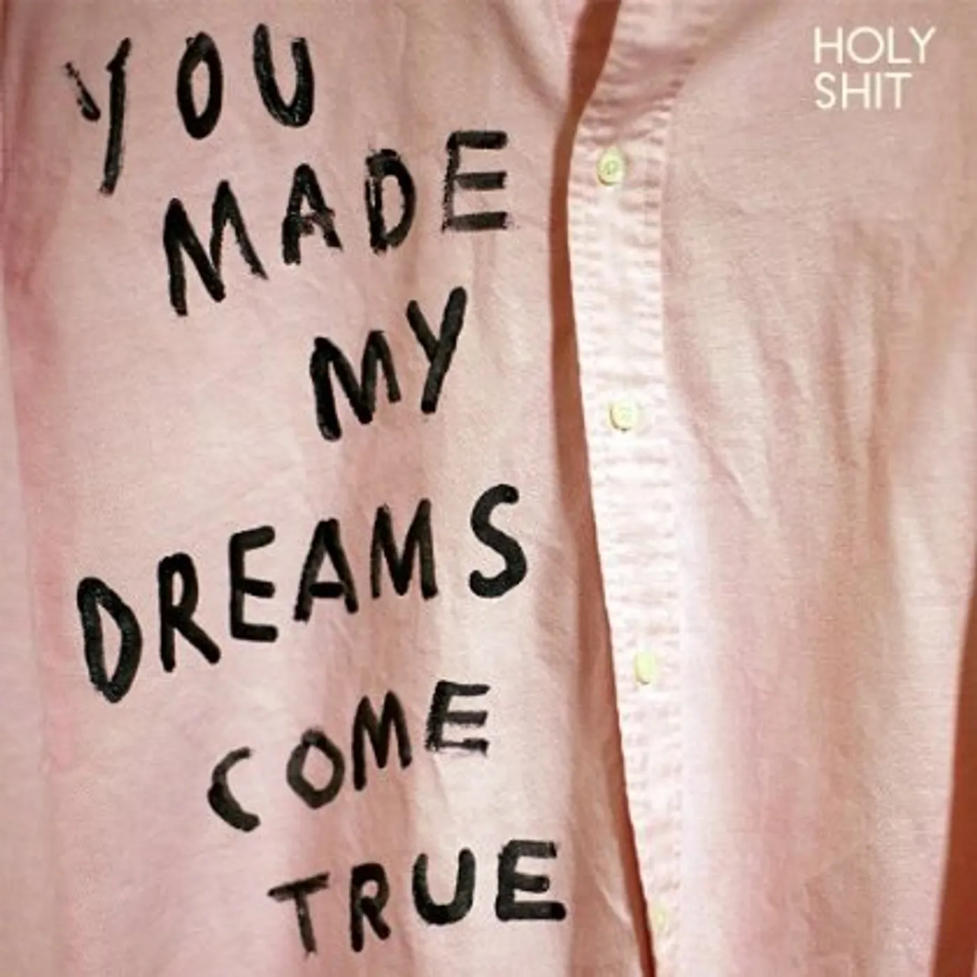 Holy Shit You Made My Dreams Come True Vinyl Record