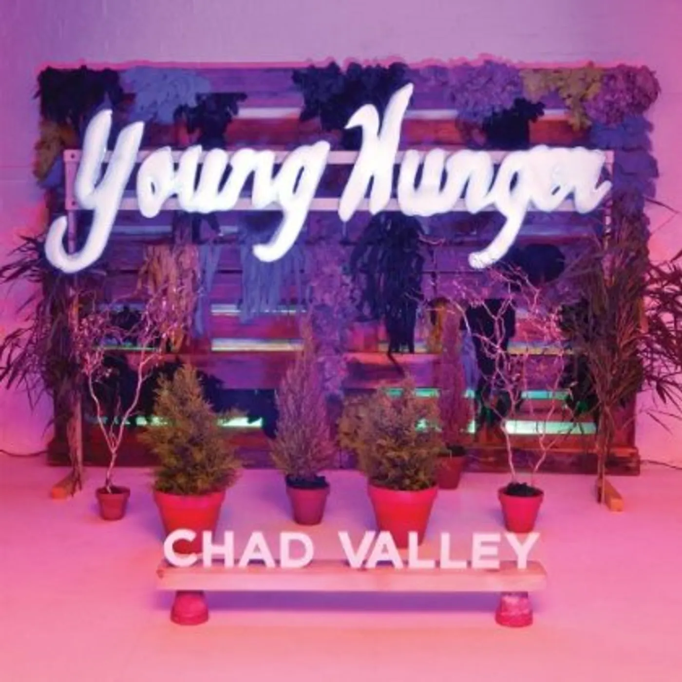 Chad Valley Young Hunger Vinyl Record