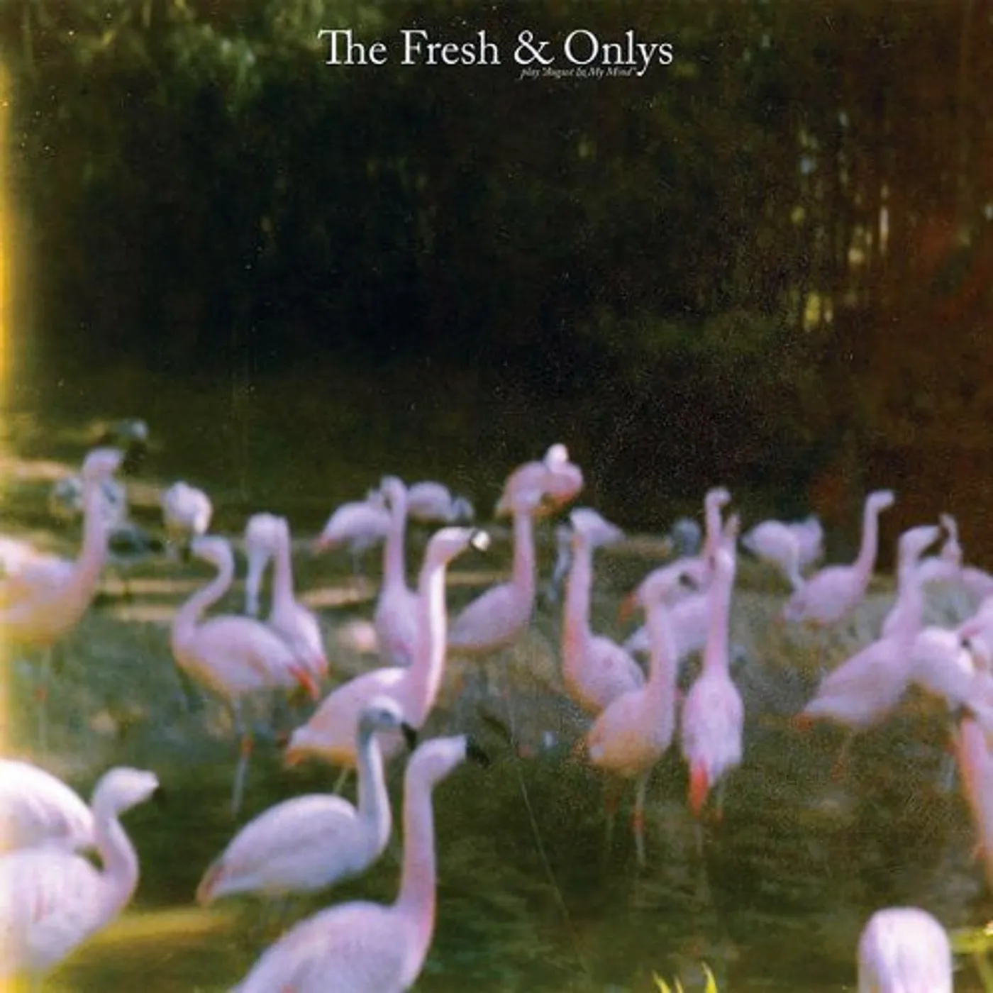 The Fresh & Onlys August in My Mind Vinyl Record