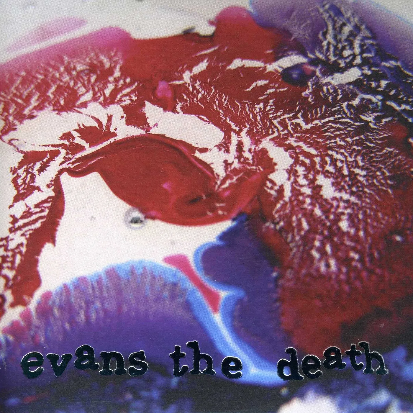 Evans The Death Catch Your Cold Vinyl Record