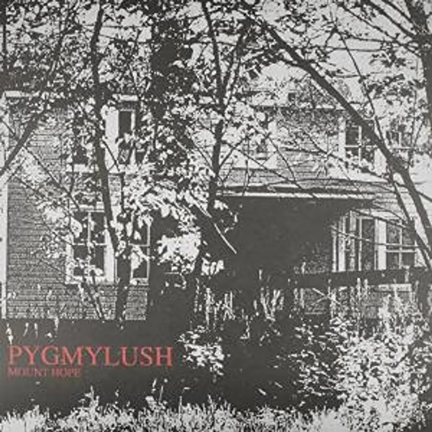 Pygmy Lush Mount Hope Vinyl Record