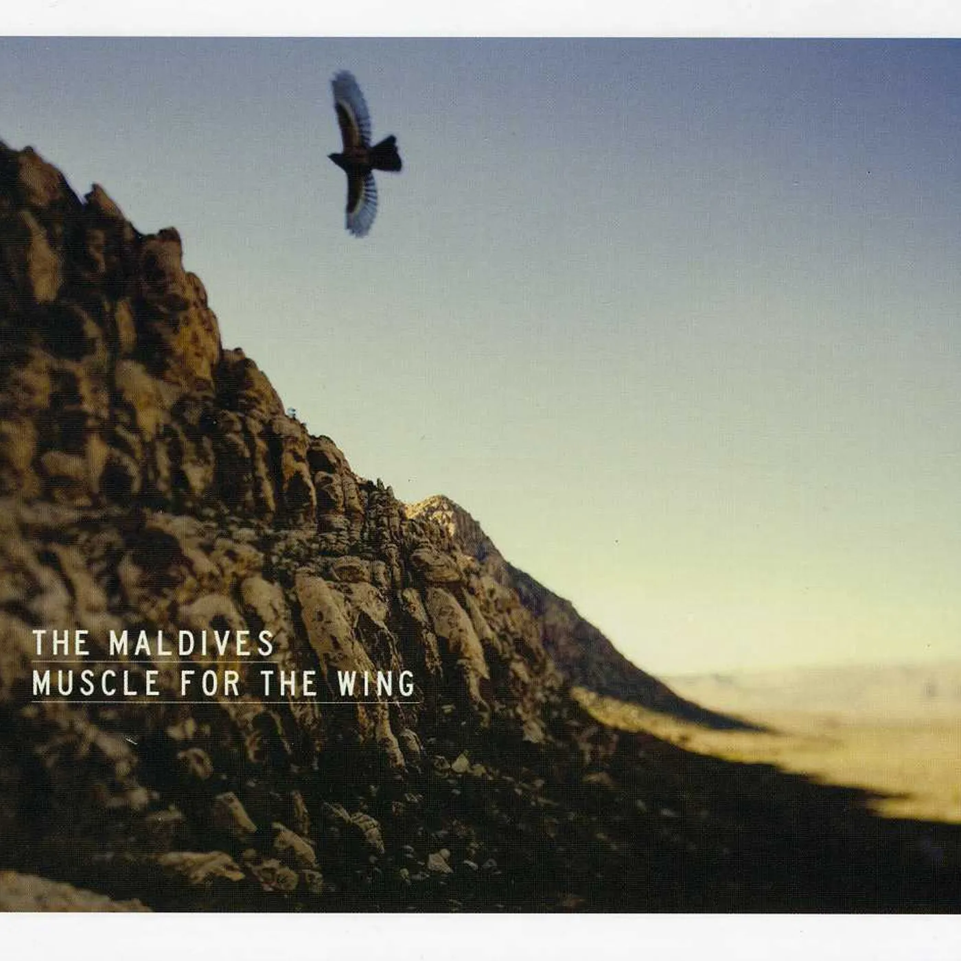 The Maldives MUSCLE FOR WING CD