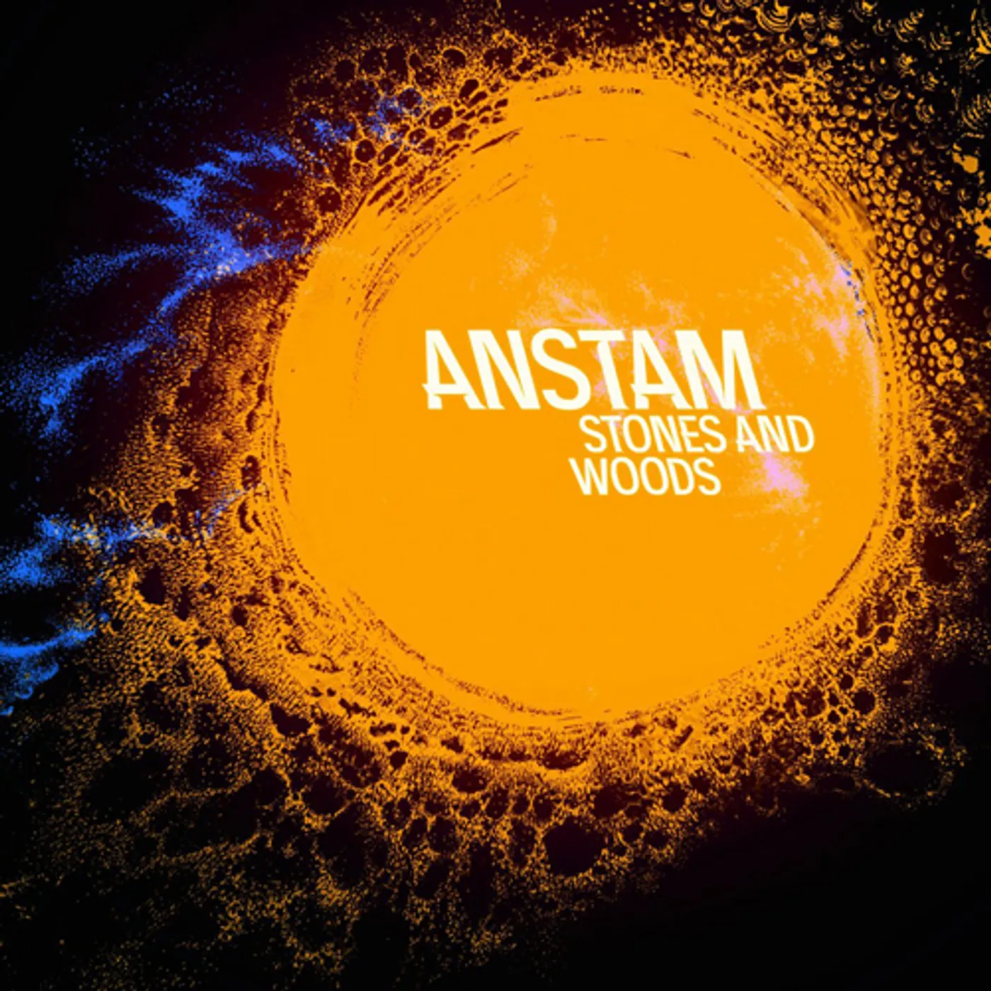 Anstam Stones and Woods Vinyl Record