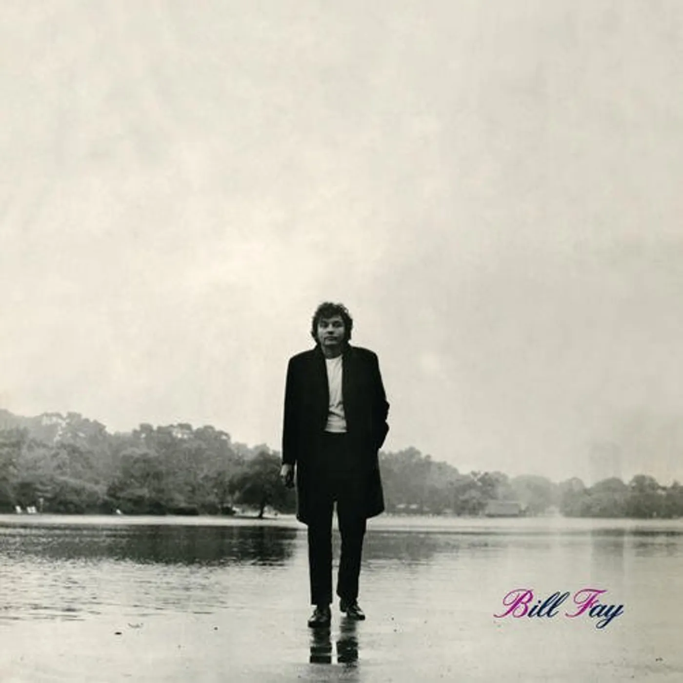 Bill Fay Vinyl Record