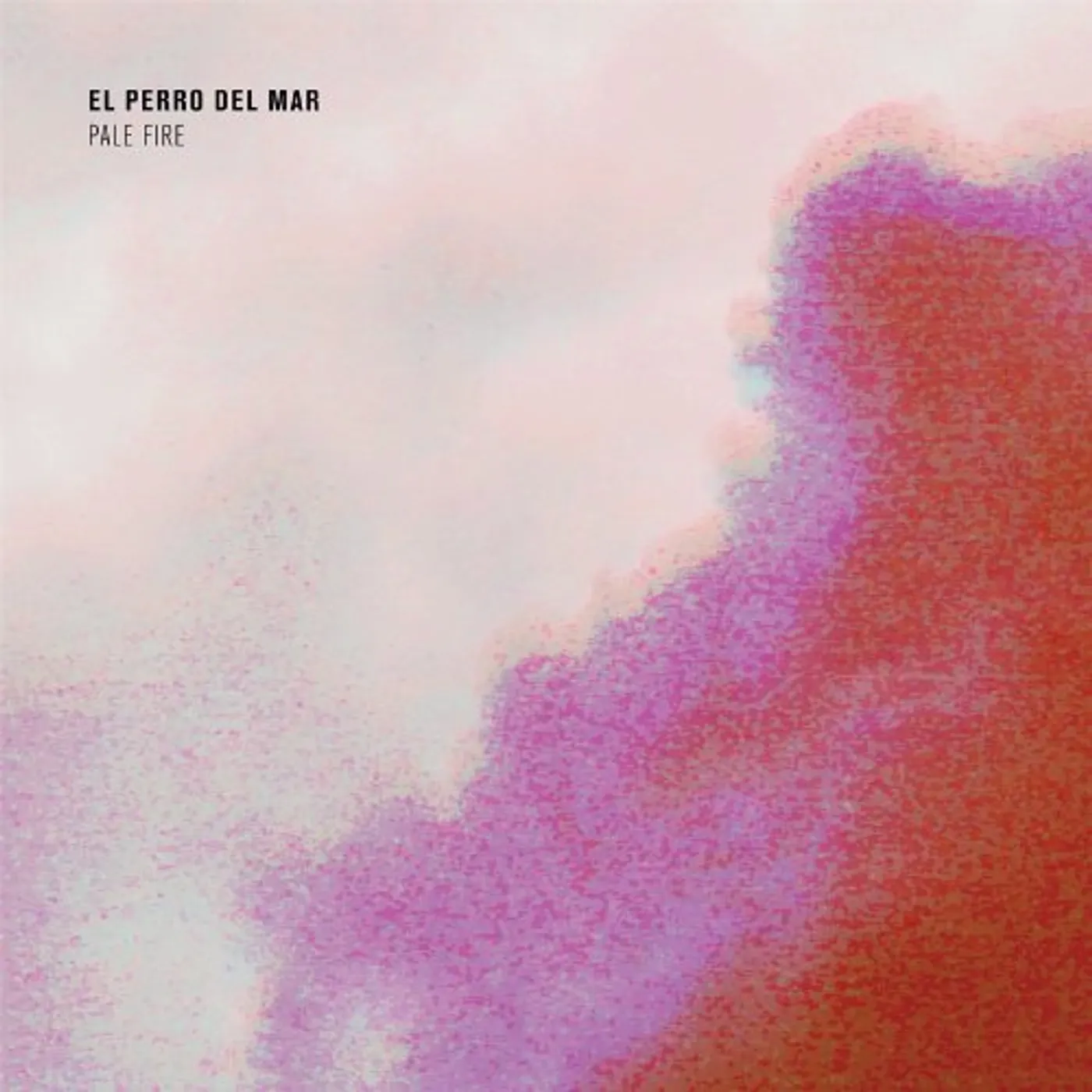 El Perro del Mar Pale Fire Vinyl Record