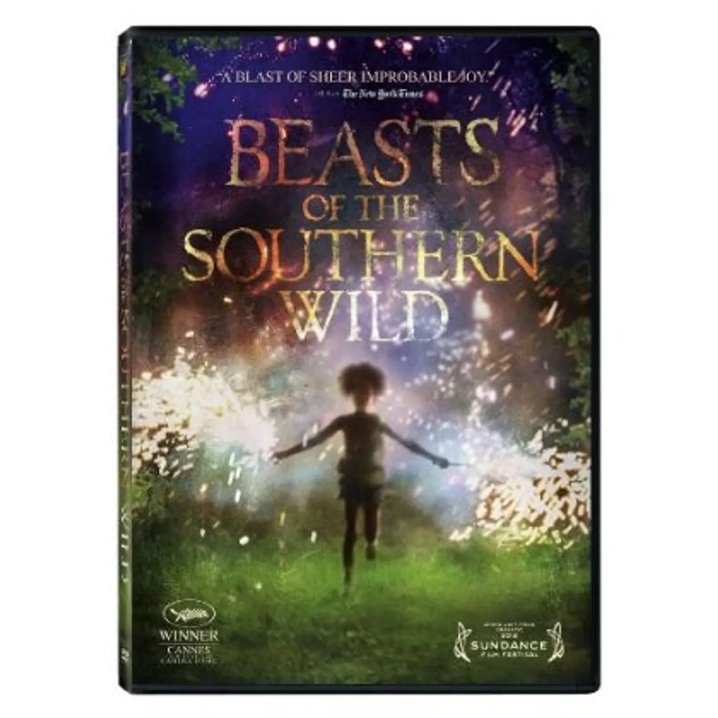 BEASTS OF THE SOUTHERN WILD DVD