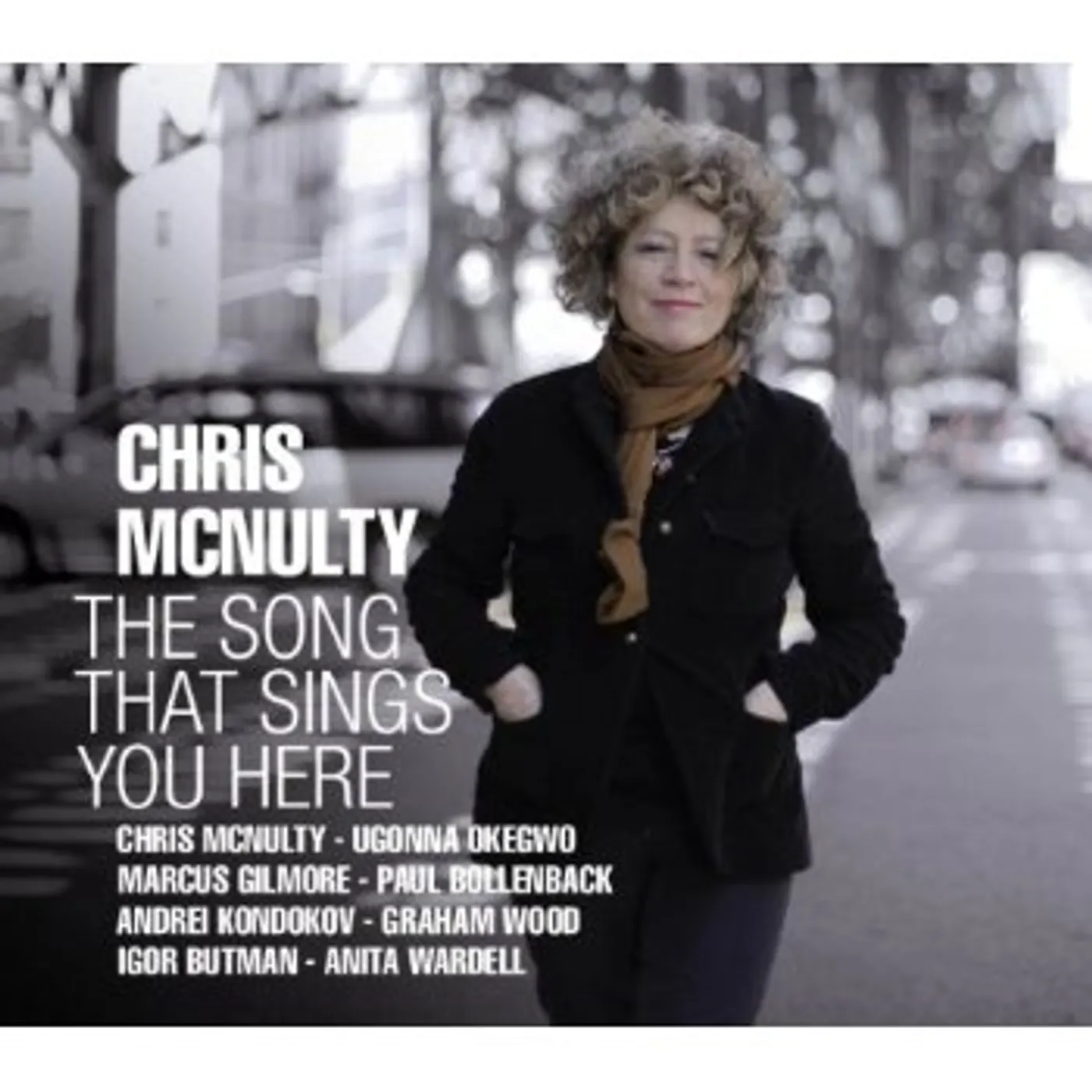 Chris McNulty SONG THAT SINGS YOU HERE CD