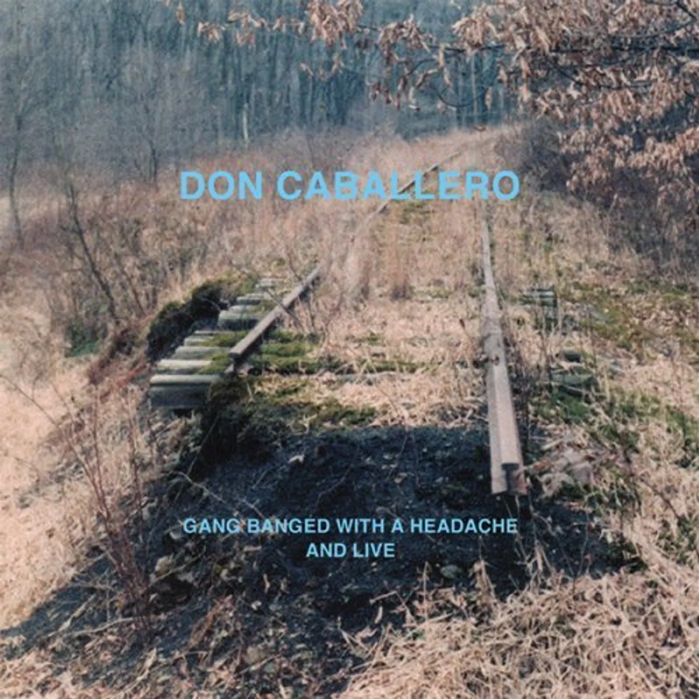 Don Caballero GANG BANGED WITH A HEADACHE & LIVE CD