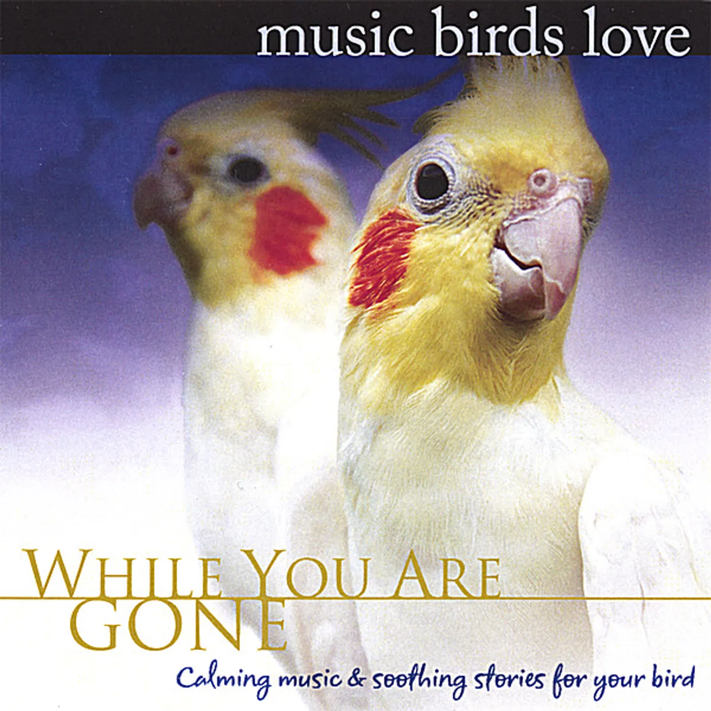 Bradley Joseph MUSIC BIRDS LOVE: WHILE YOU ARE GONE CD