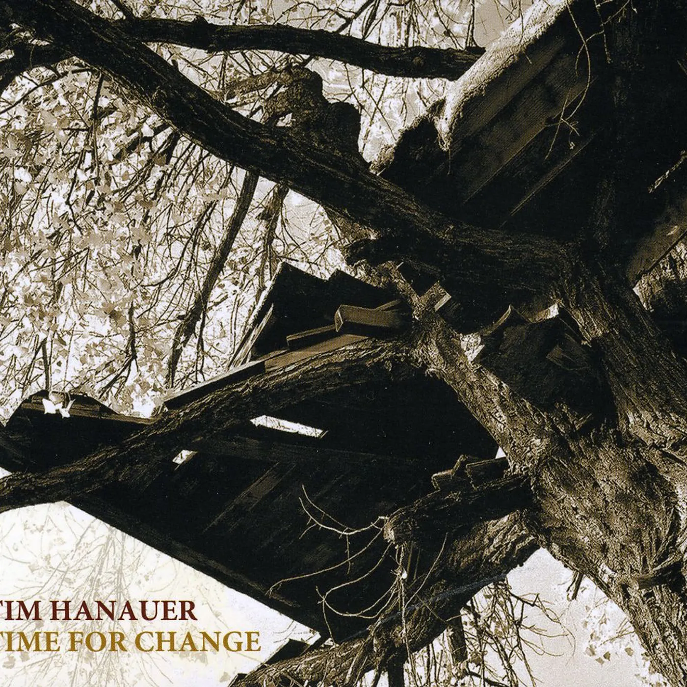 Tim Hanauer TIME FOR CHANGE CD