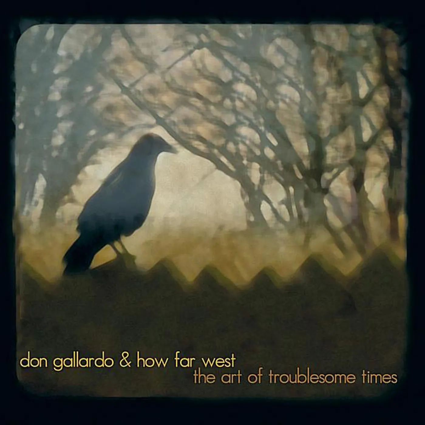 Don Gallardo ART OF TROUBLESOME TIMES CD
