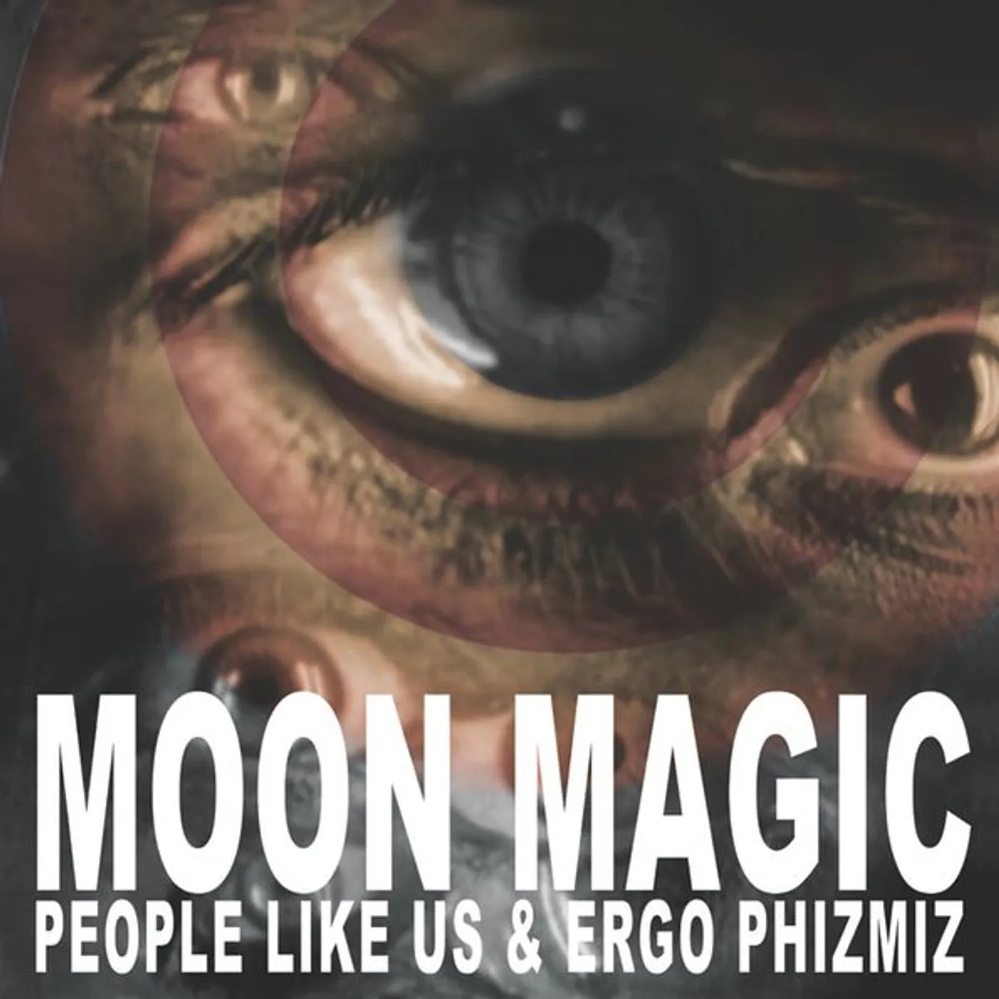 People Like Us & Ergo Phizmiz MOON MAGIC Vinyl Record